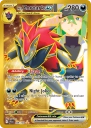 N's Zoroark ex (JTG 189) — Officiële kaartafbeelding