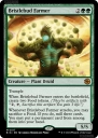 Bristlebud Farmer (BIG 017) — Officiële kaartafbeelding