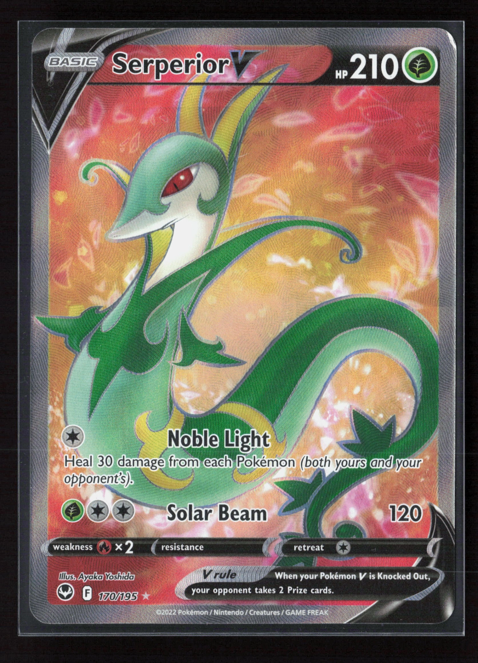 Serperior V (SIT 170) — Voorkant