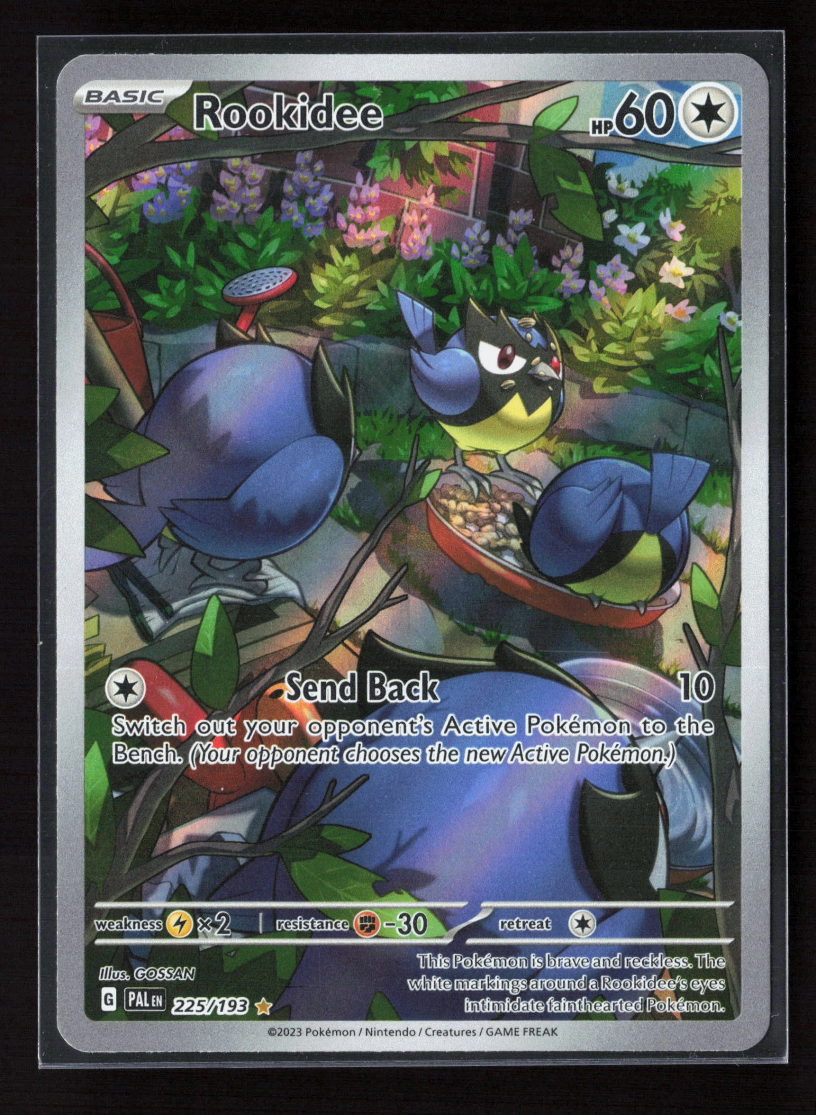 Rookidee (PAL 225) — Voorkant
