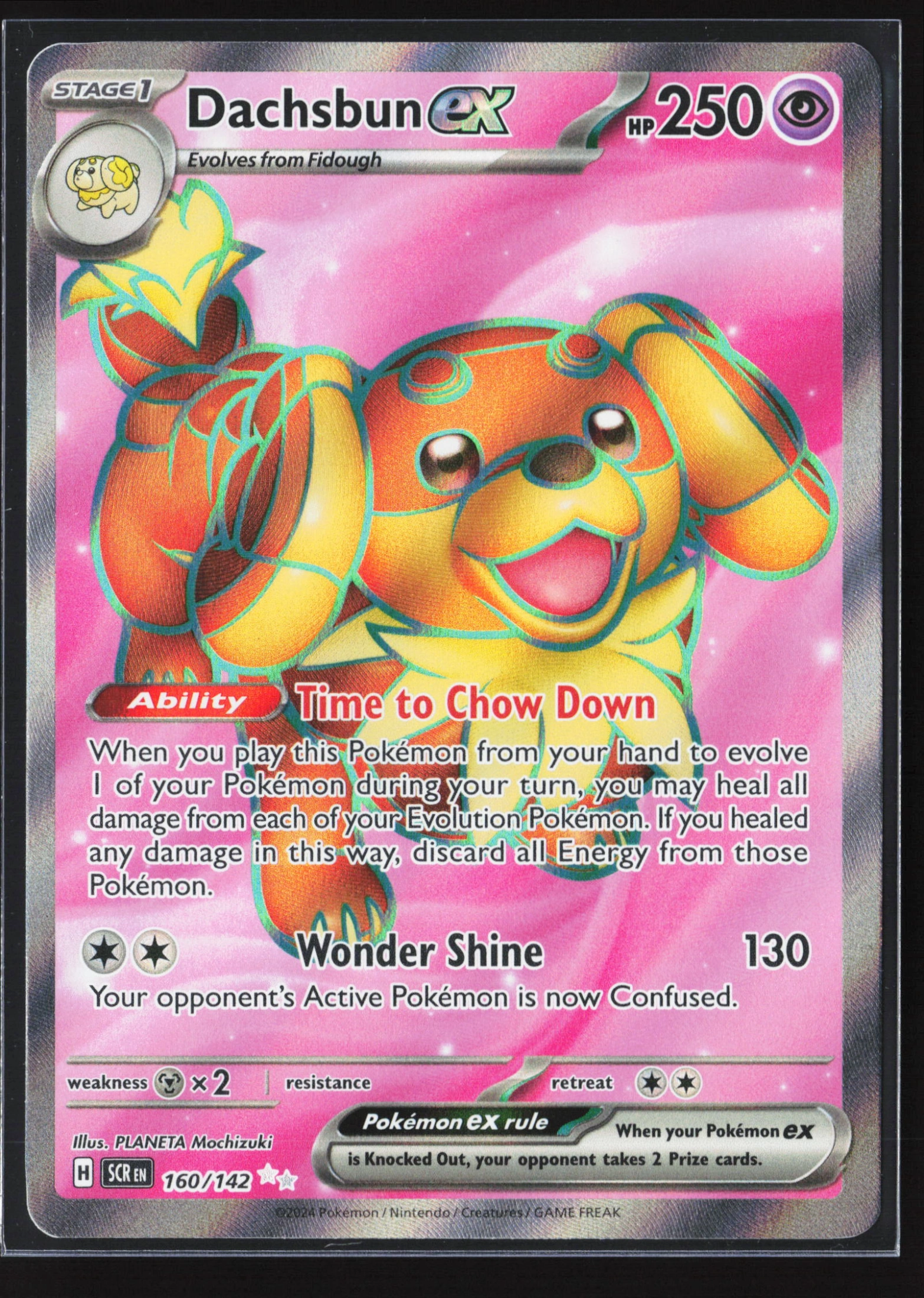 Dachsbun ex (SCR 160) — Voorkant