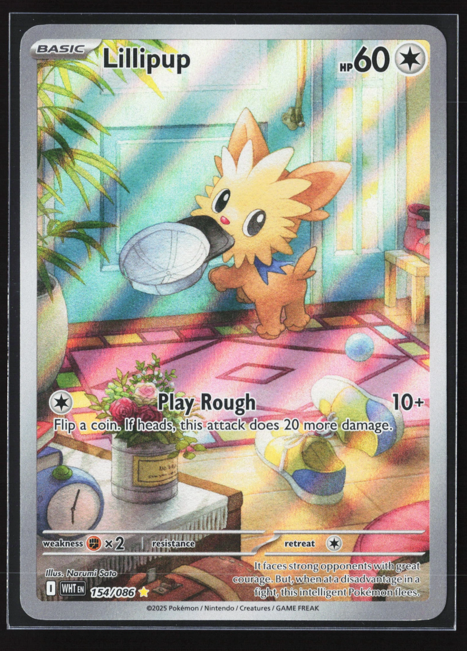 Lillipup (WHT 154) — Voorkant