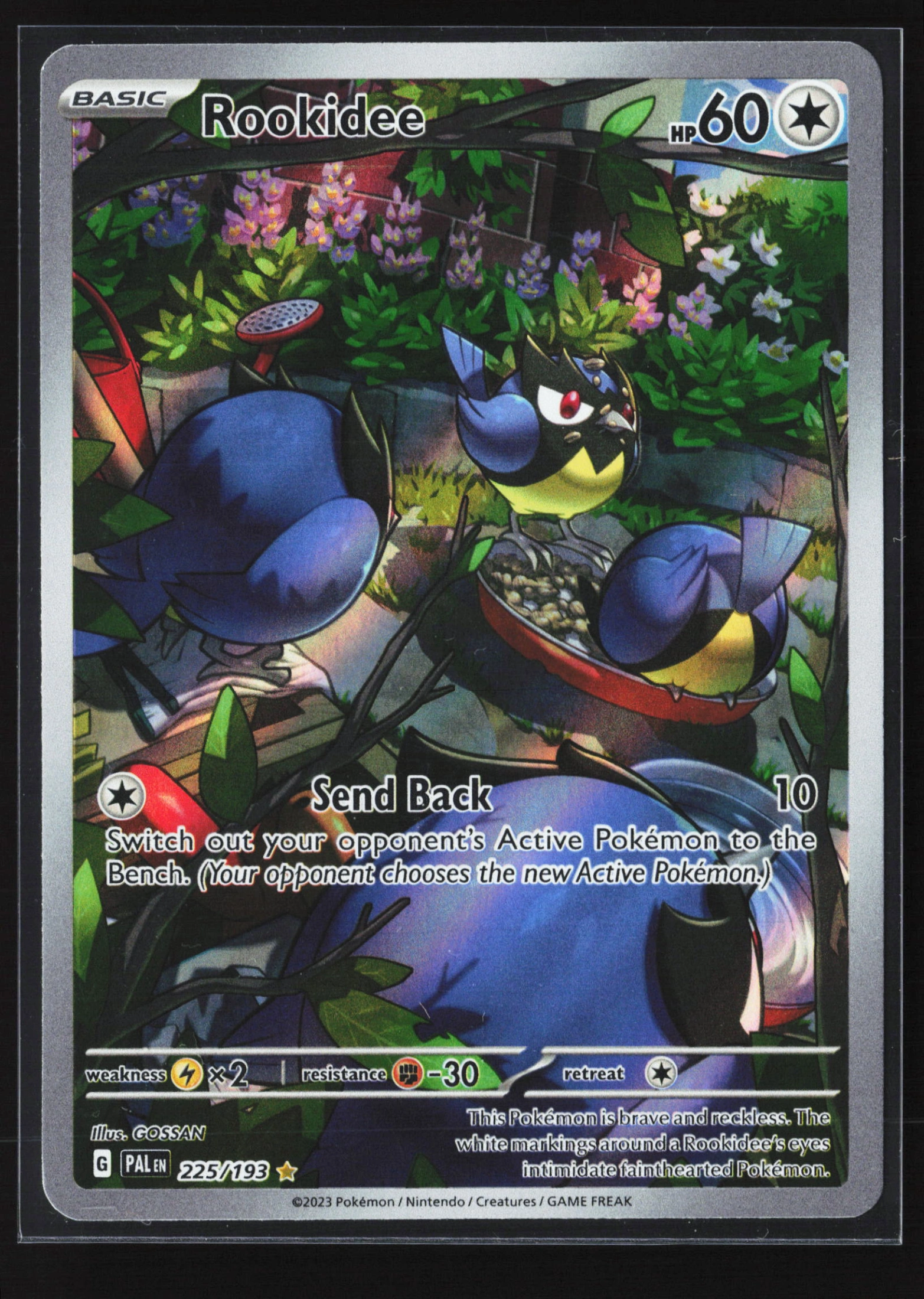 Rookidee (PAL 225) — Voorkant