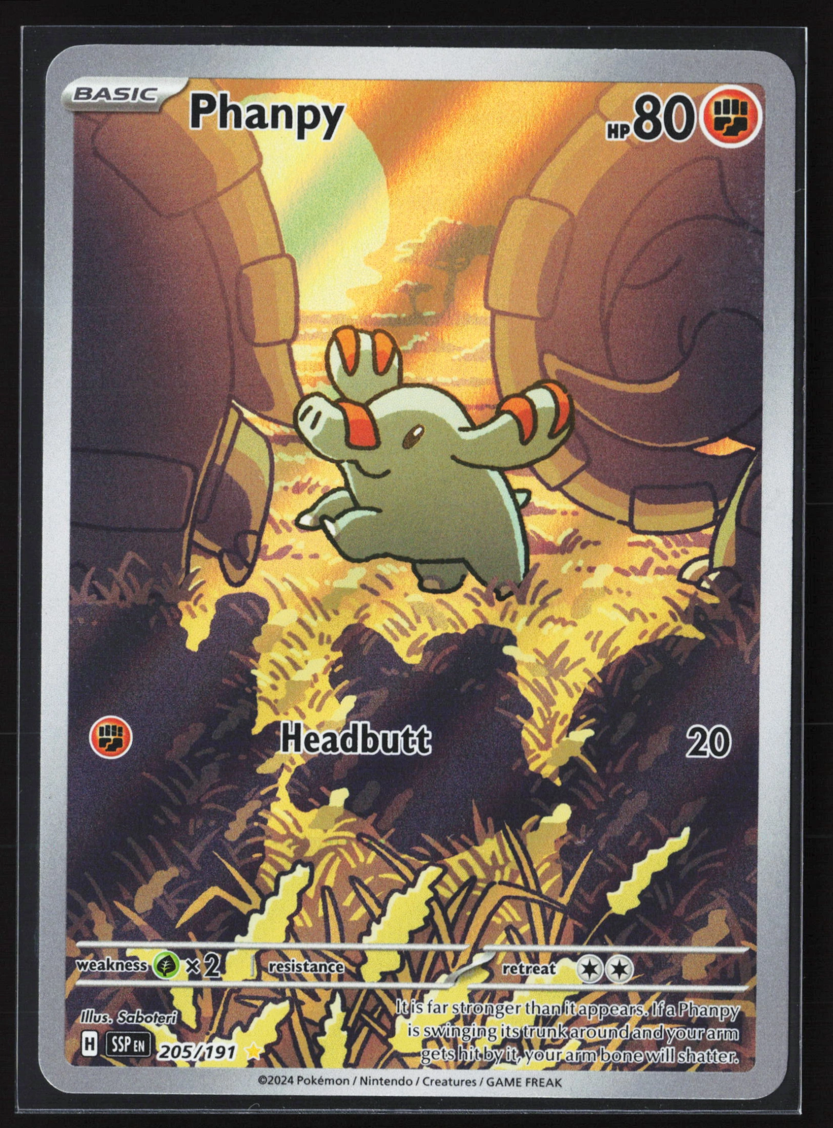 Phanpy (SSP 205) — Voorkant