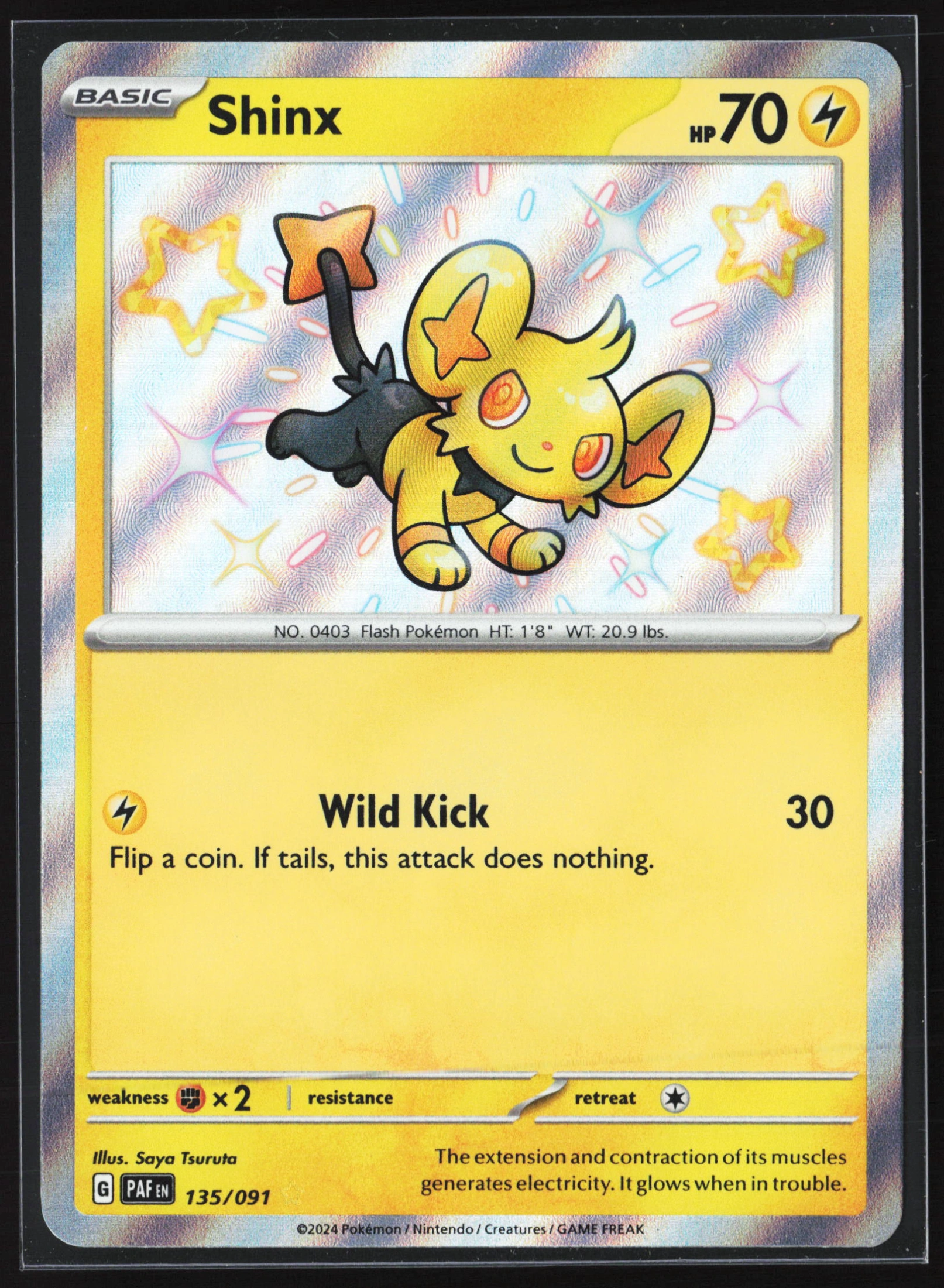 Shinx (PAF 135) — Voorkant