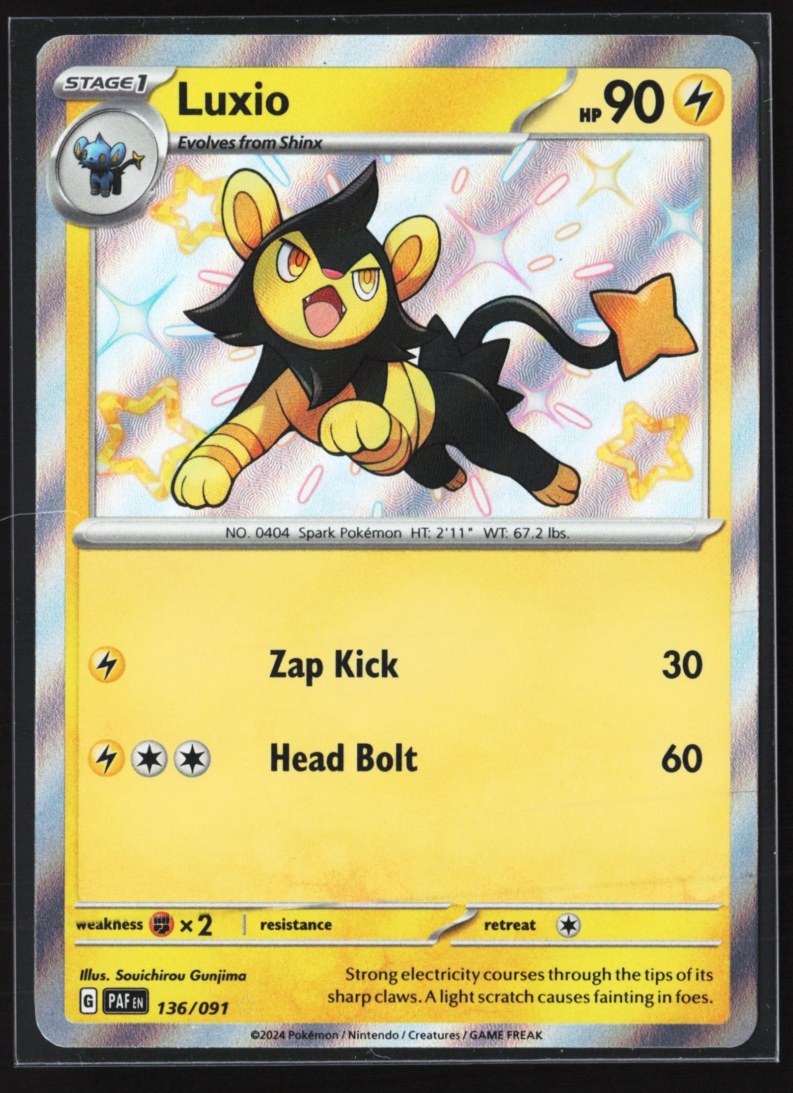 Luxio (PAF 136) — Voorkant