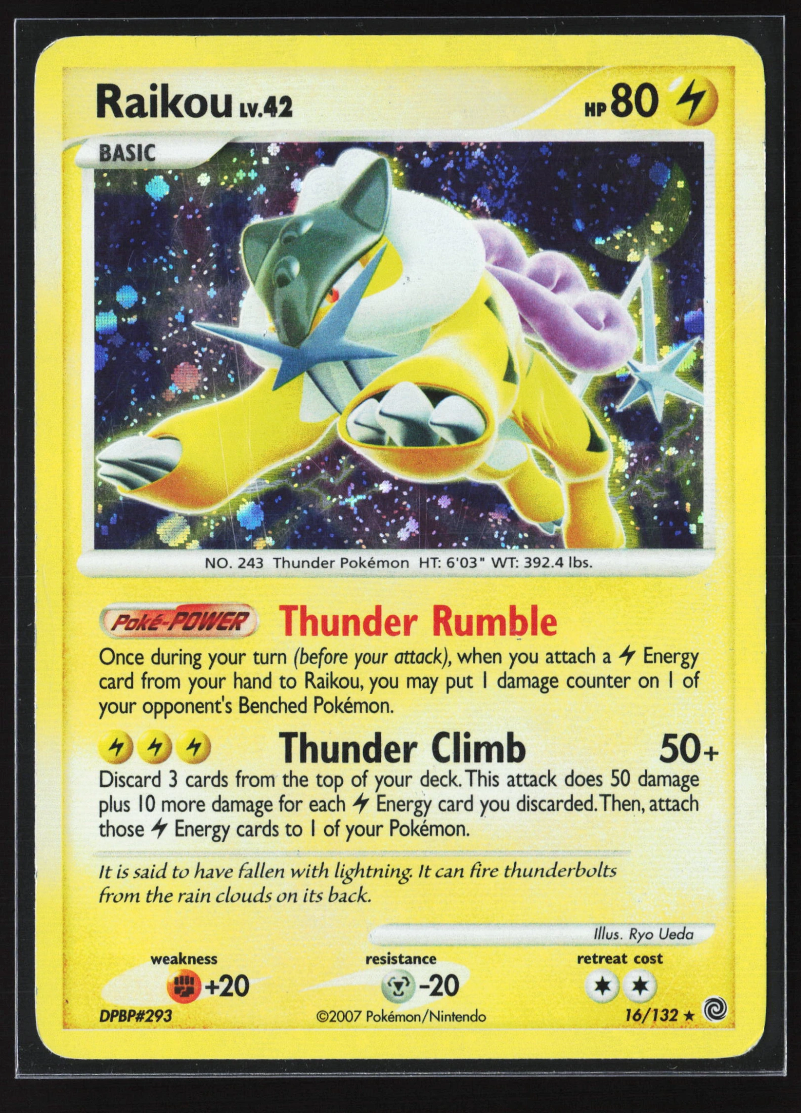 Raikou (SW 016) — Voorkant
