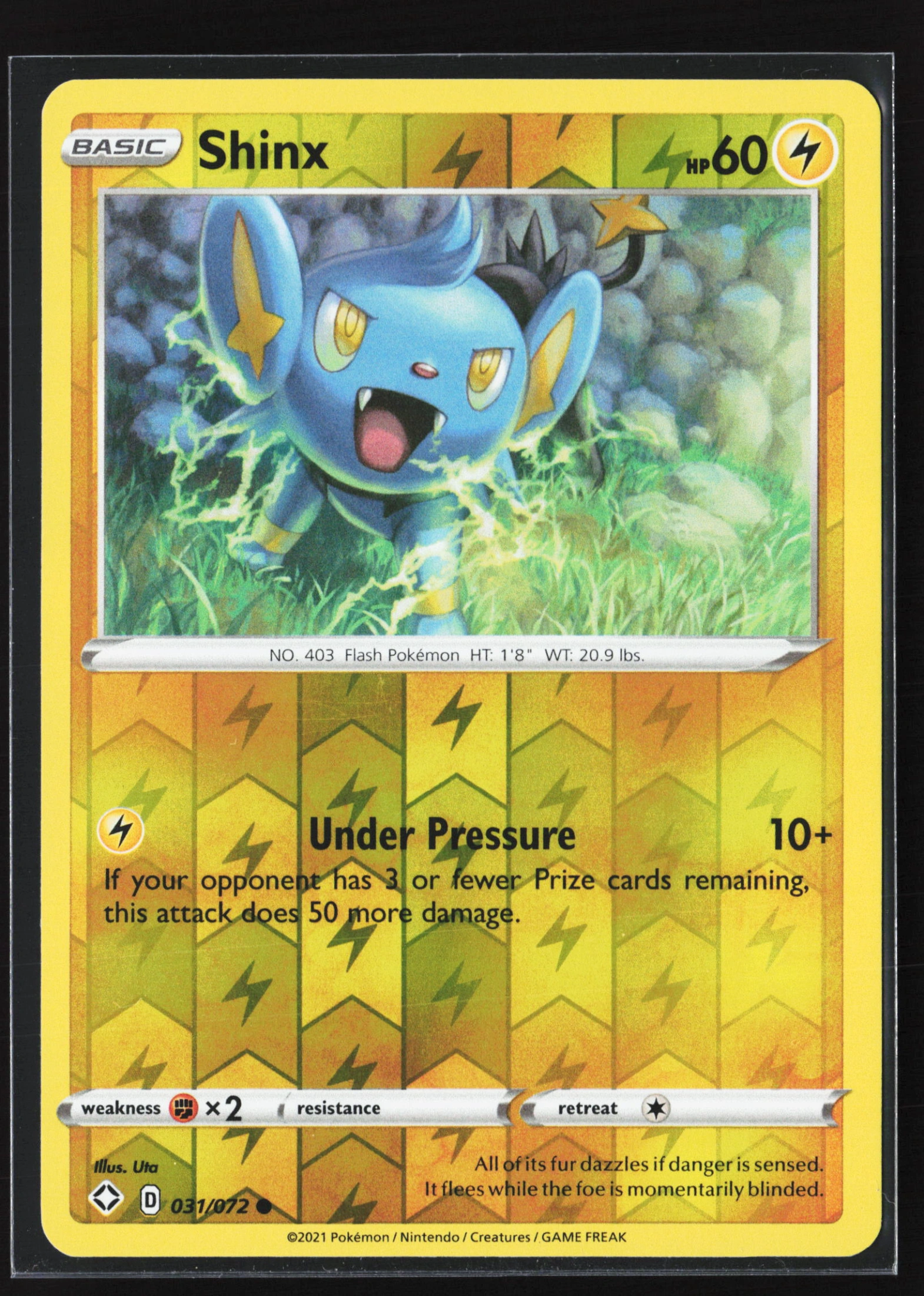 Shinx (SHF 031) — Voorkant