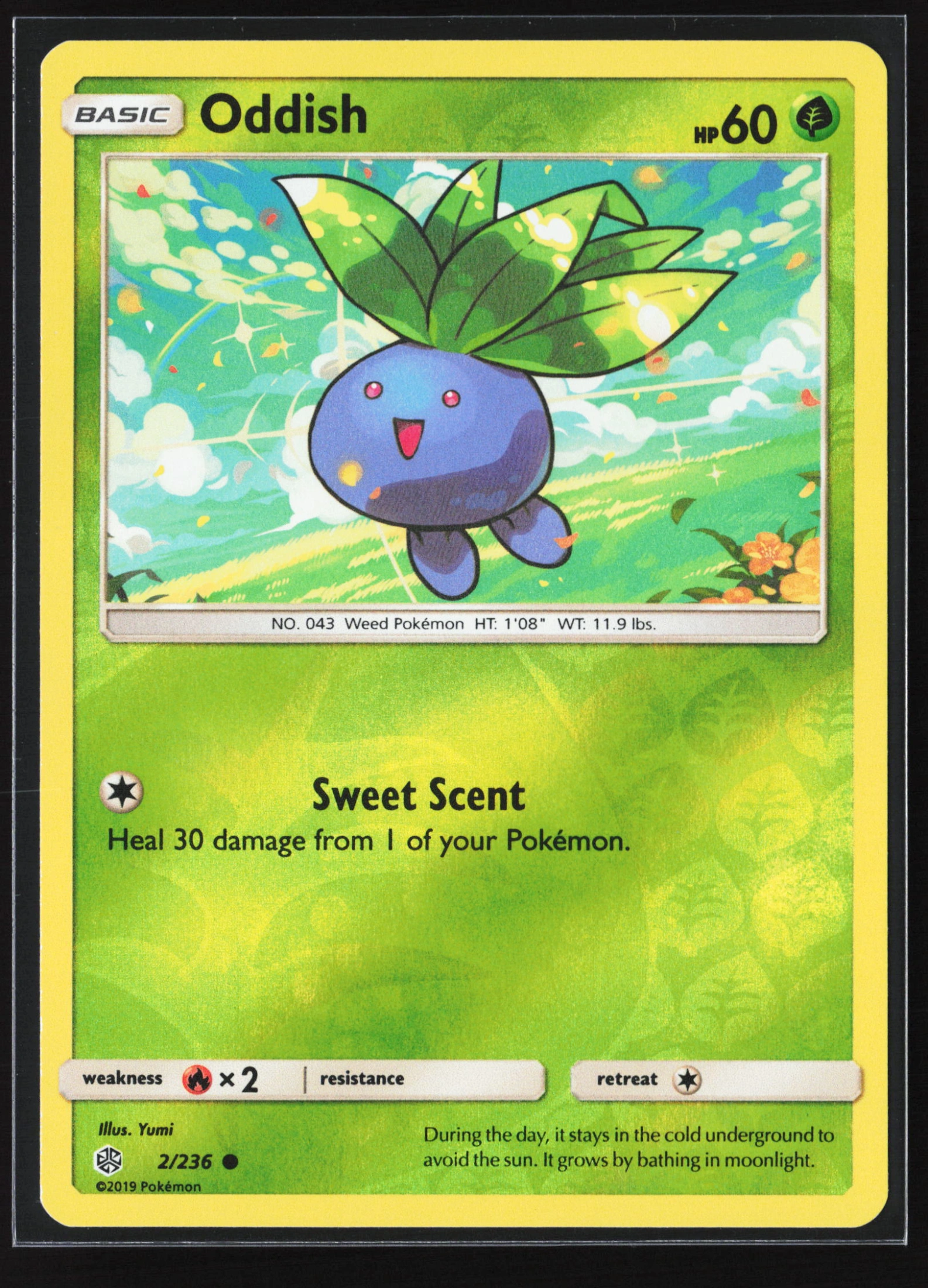 Oddish (CEC 002) — Voorkant