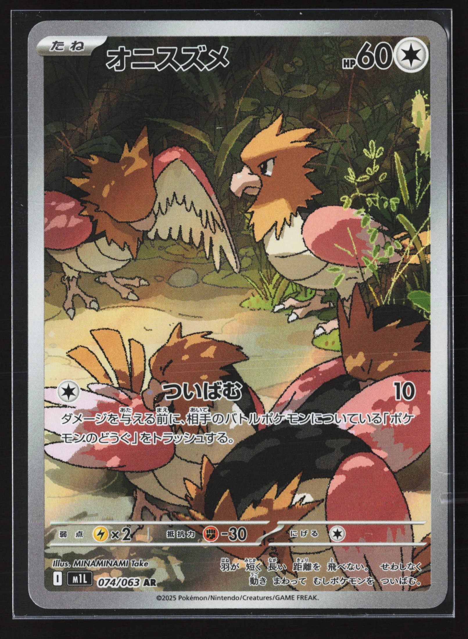 Spearow (M1L 074) — Voorkant