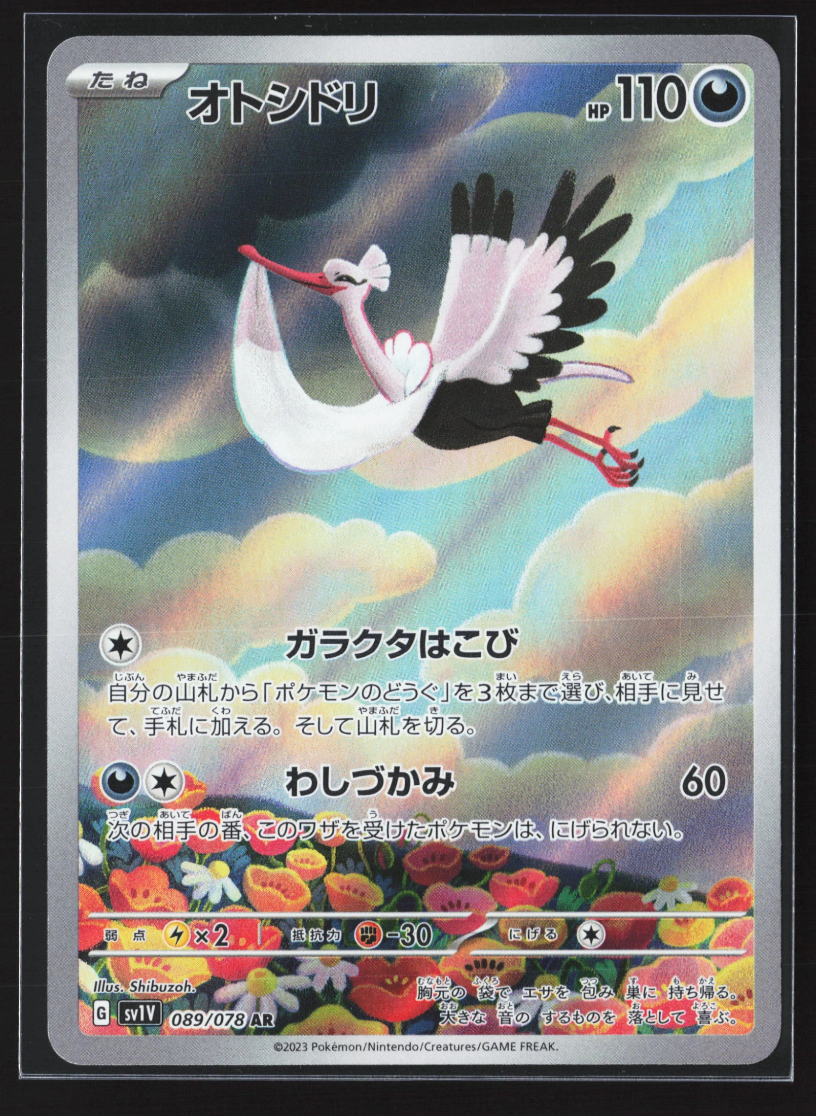 Bombirdier (SV1V 089) — Voorkant