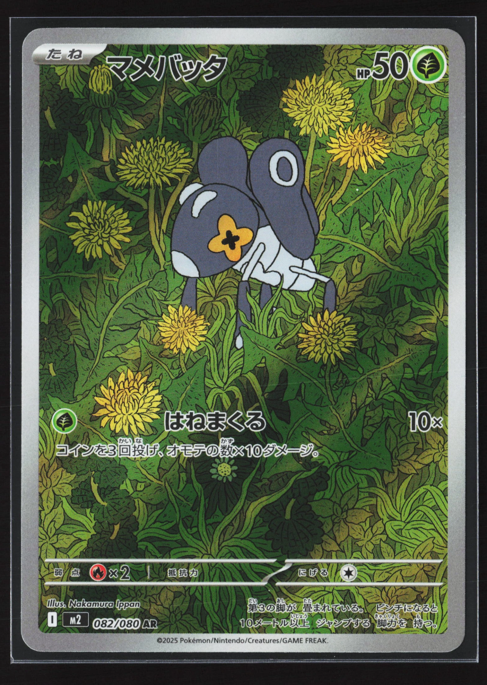 Nymble (M2 082) — Voorkant