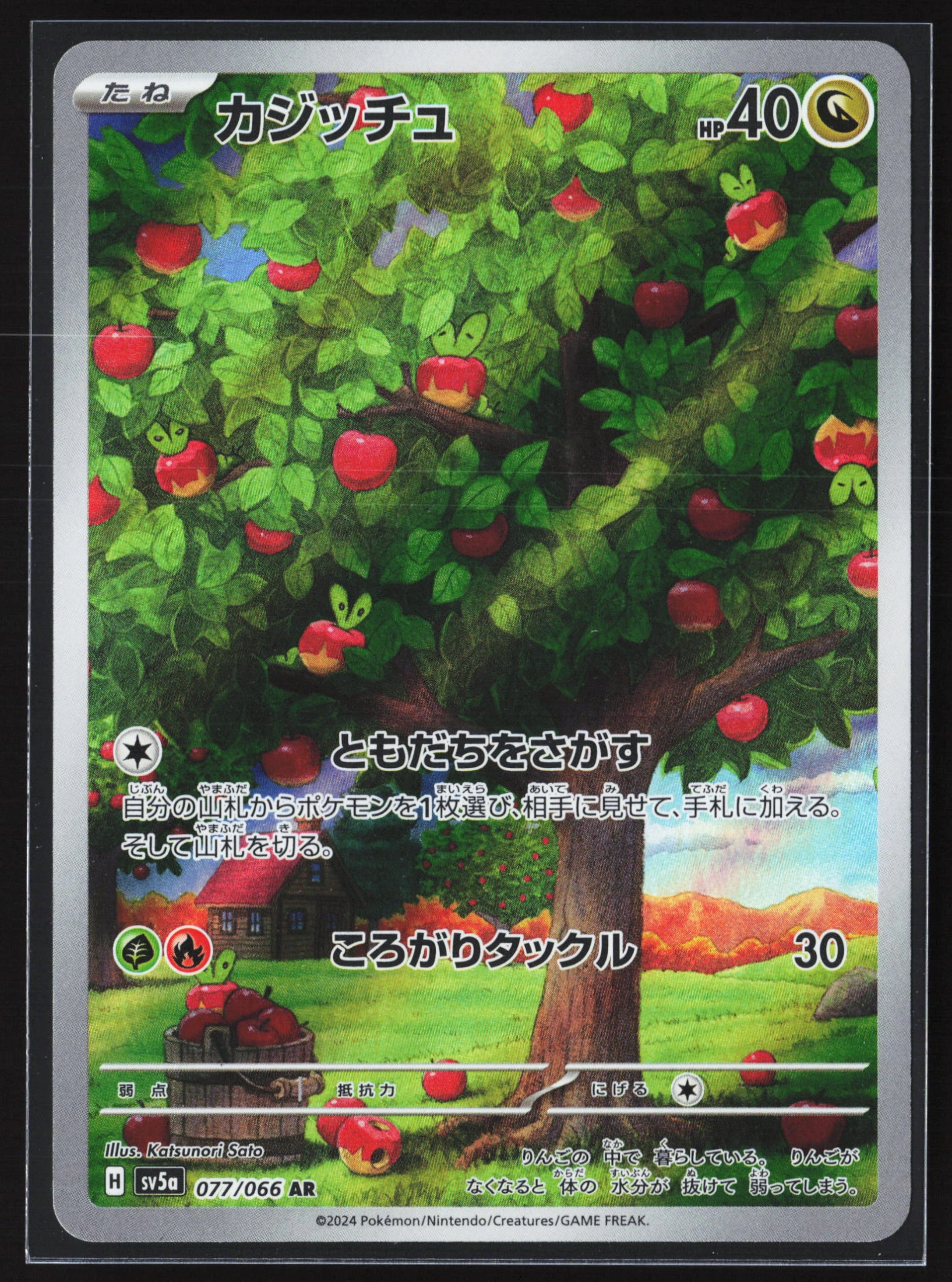 Applin (SV5A 077) — Voorkant