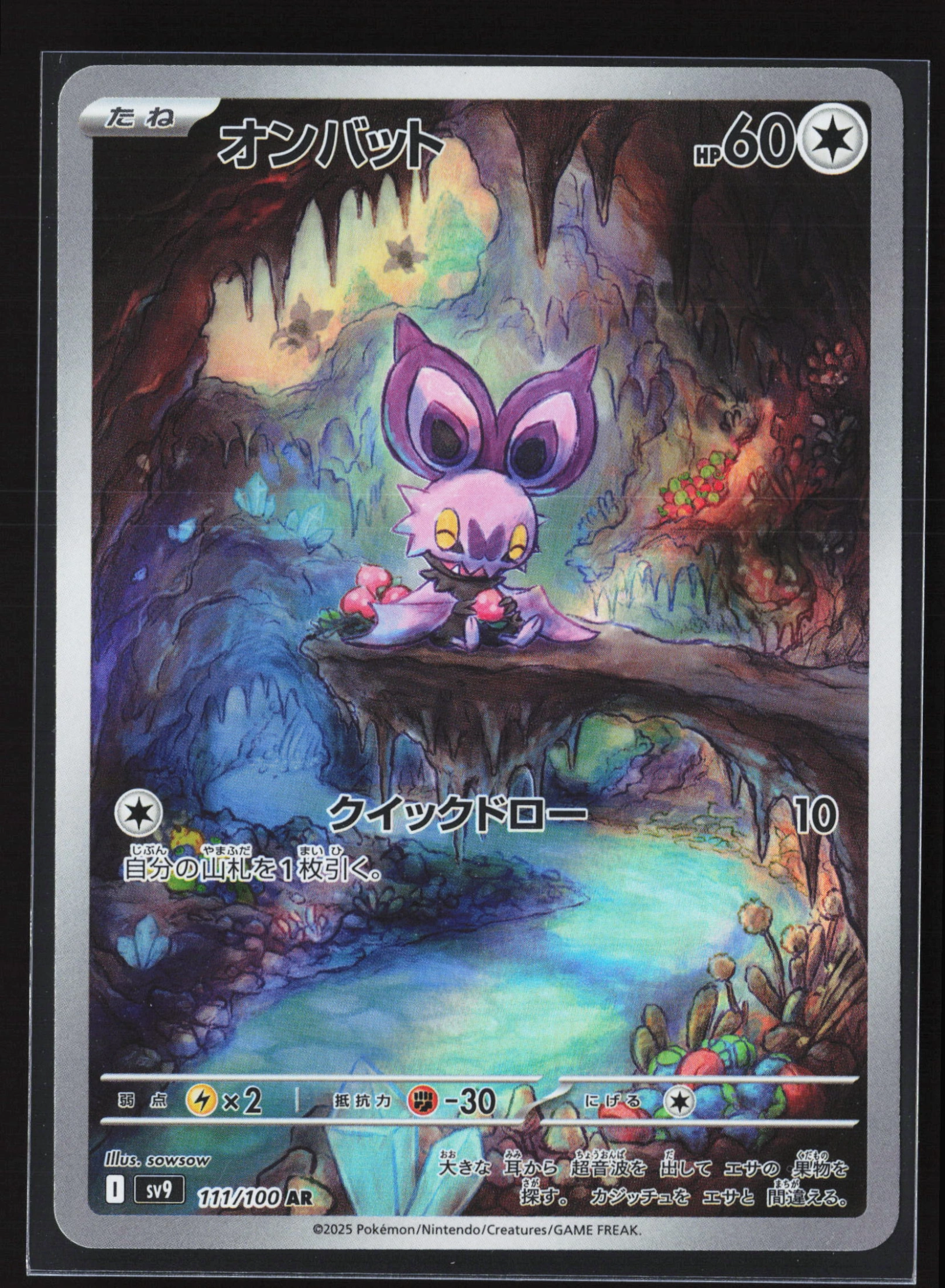 Noibat (SV9 111) — Voorkant