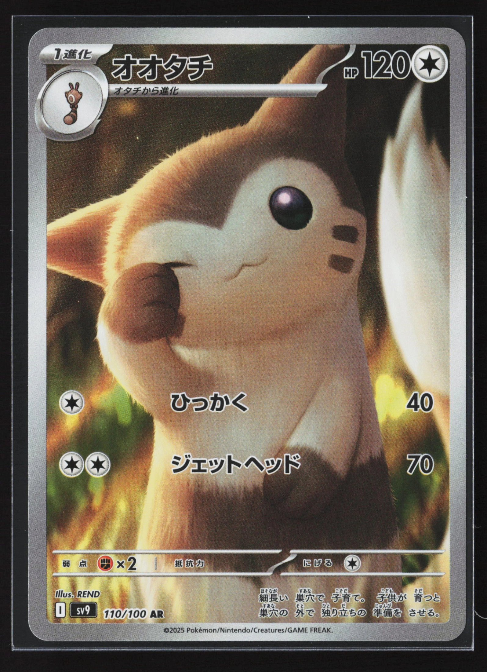 Furret (SV9 110) — Voorkant