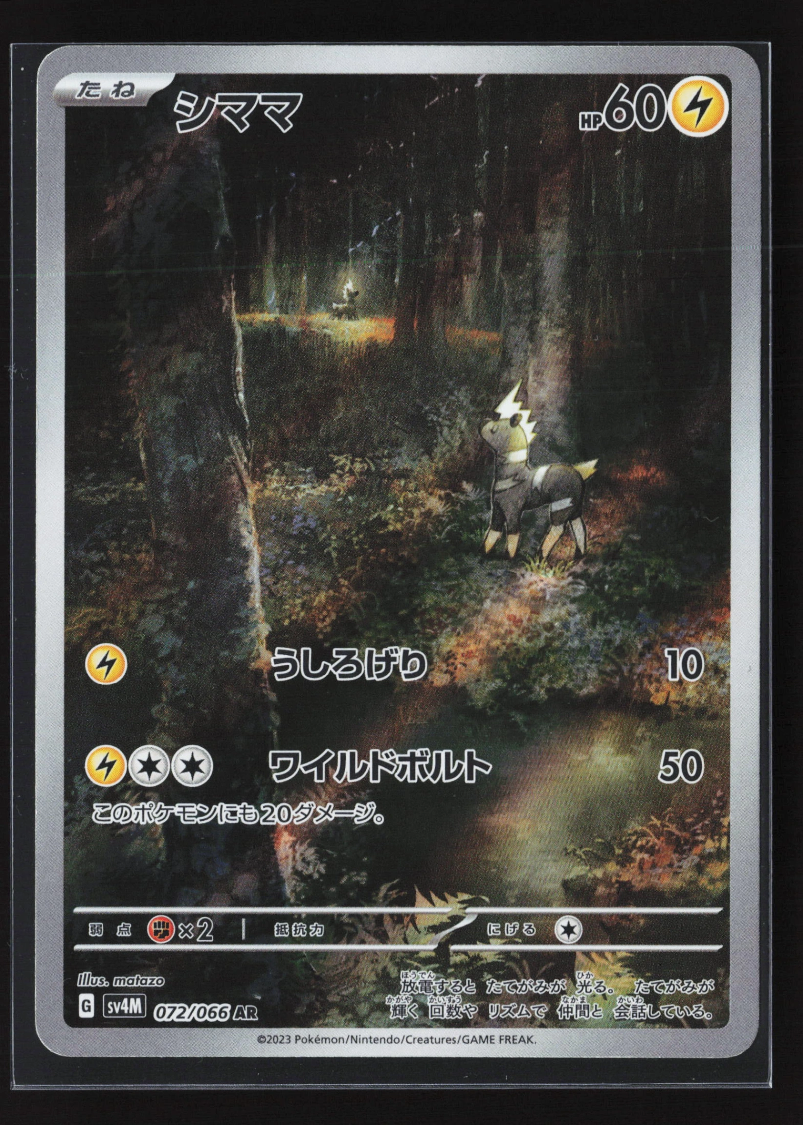 Blitzle (SV4M 072) — Voorkant