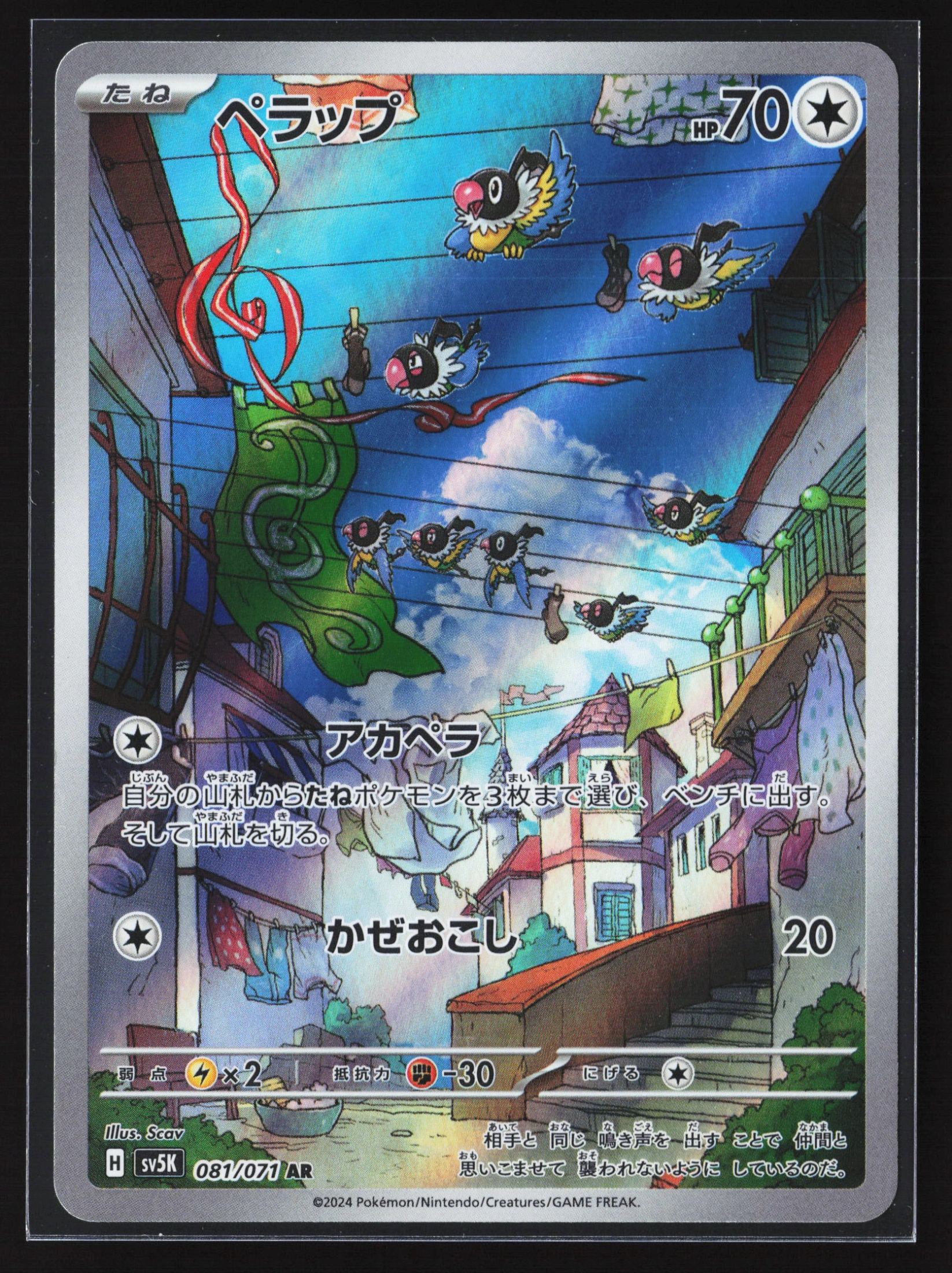 Chatot (SV5K 081) — Voorkant