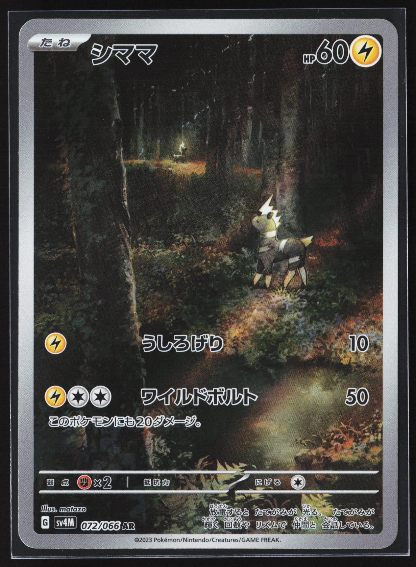 Blitzle (SV4M 072) — Voorkant