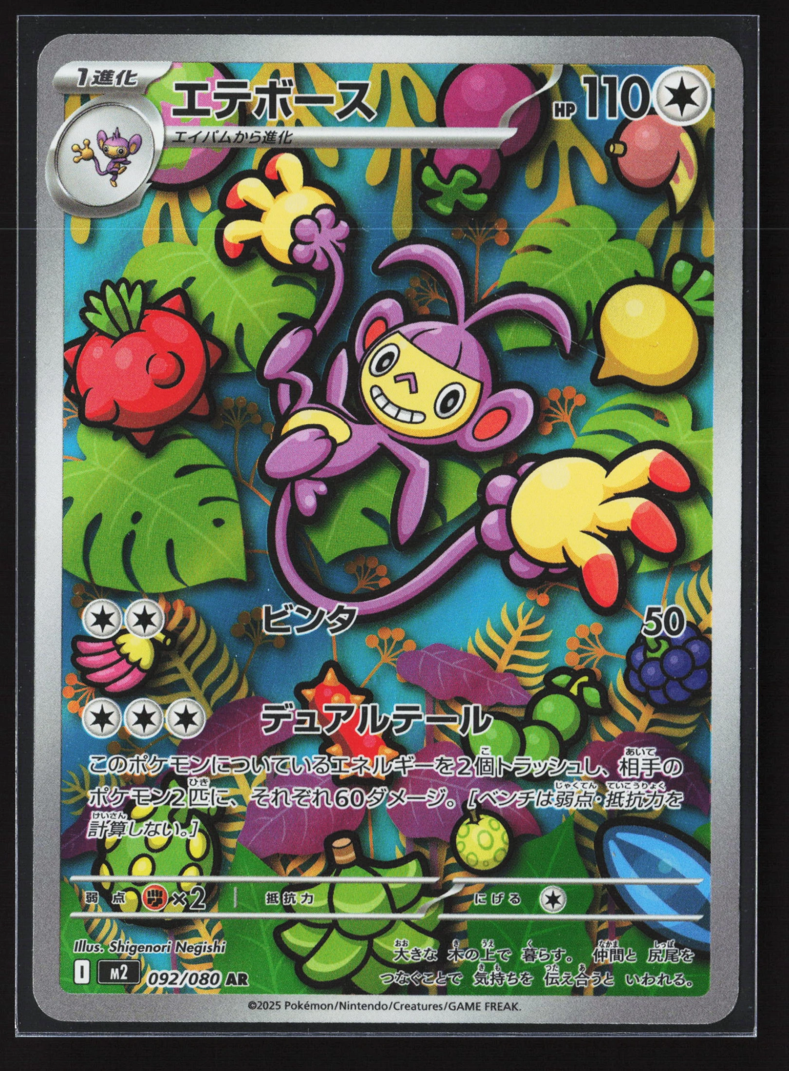 Ambipom (M2 092) — Voorkant