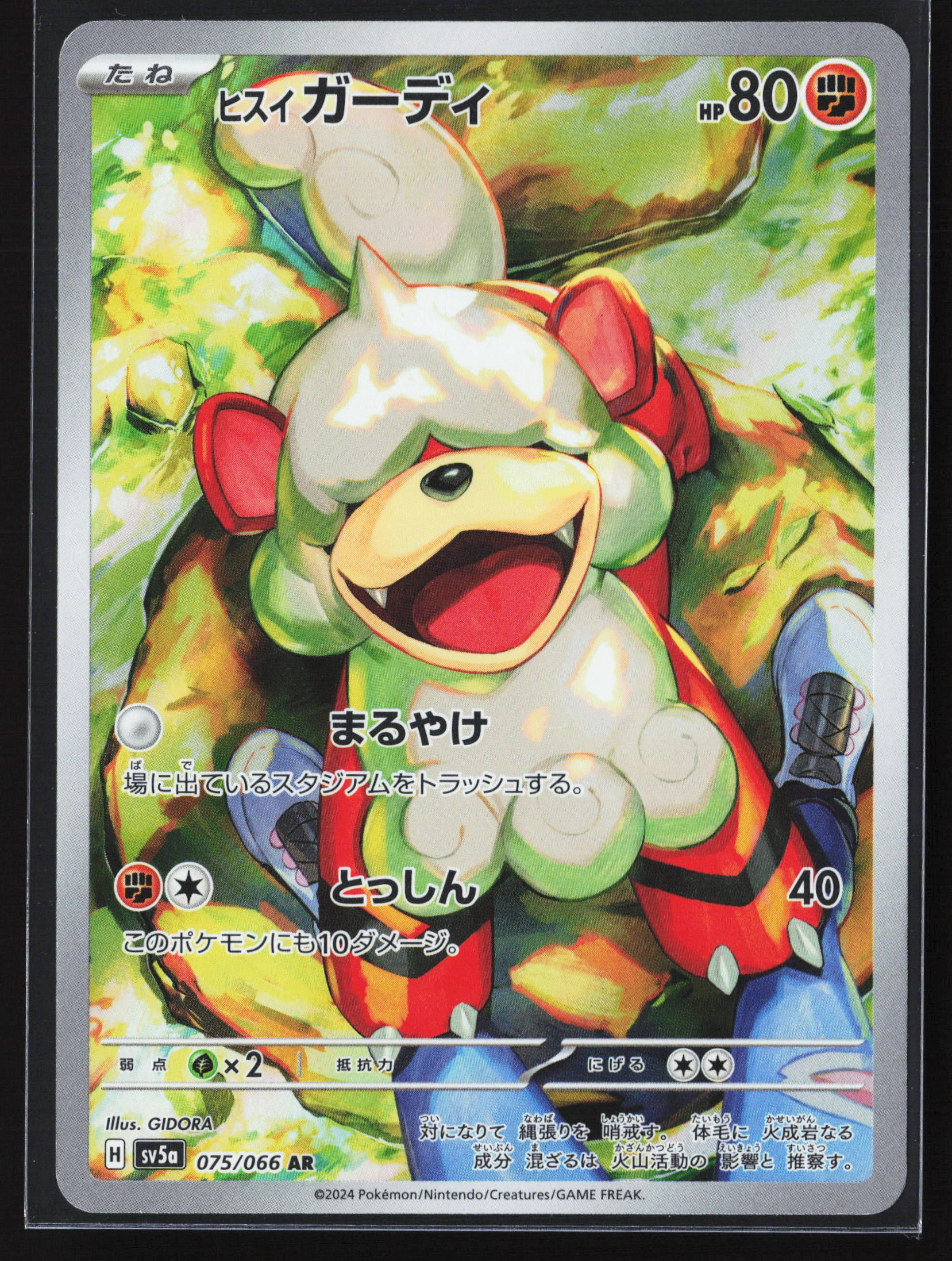 Hisuian Growlithe (SV5A 075) — Voorkant