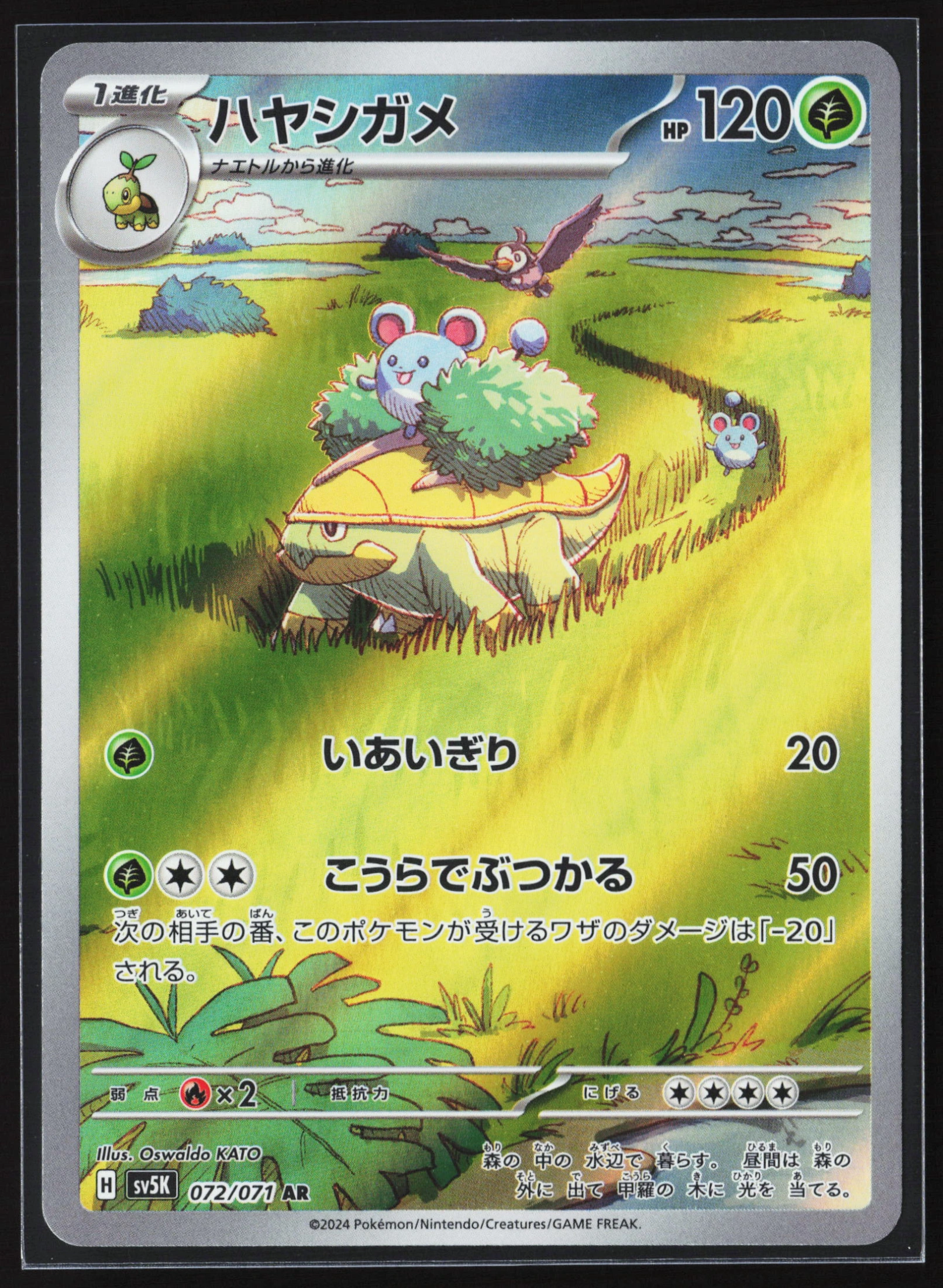 Grotle (SV5K 072) — Voorkant