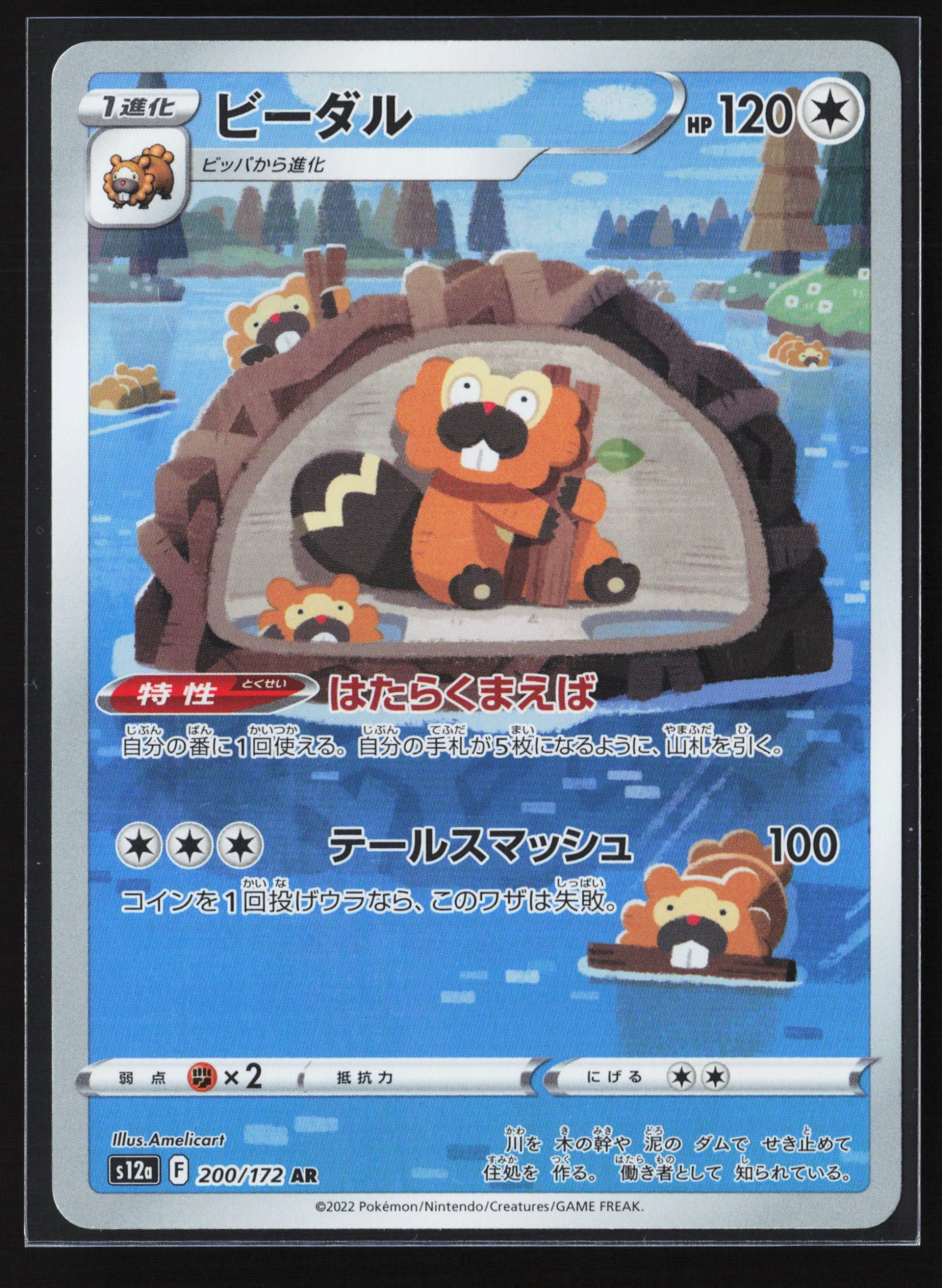 Bibarel (S12A 200) — Voorkant