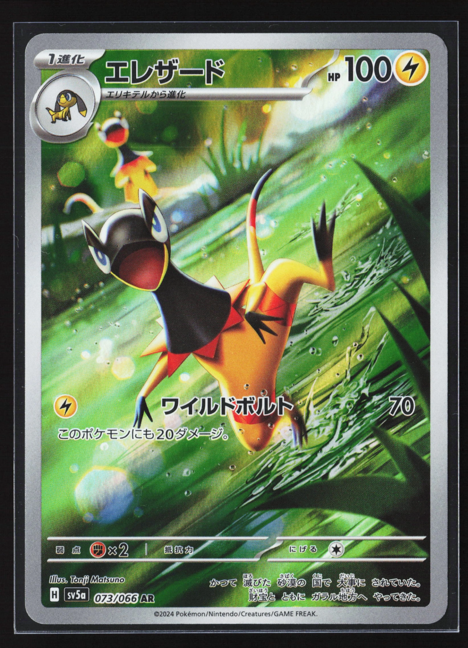 Heliolisk (SV5A 073) — Voorkant