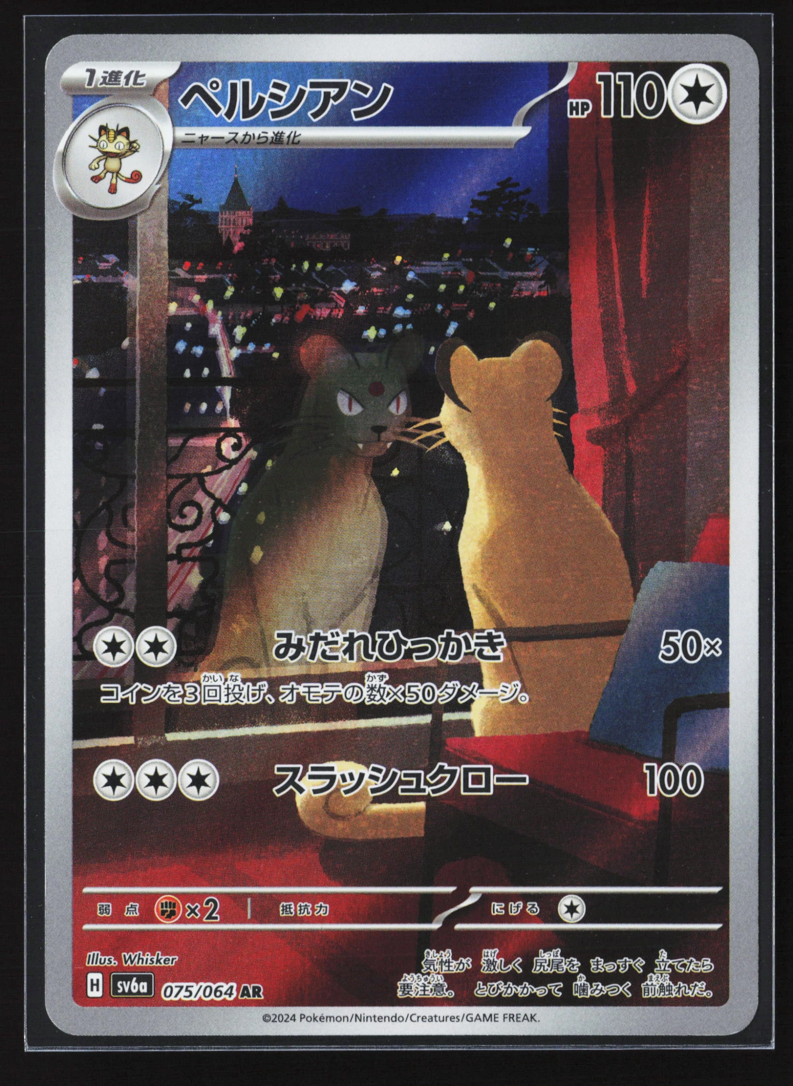Persian (SV6A 075) — Voorkant