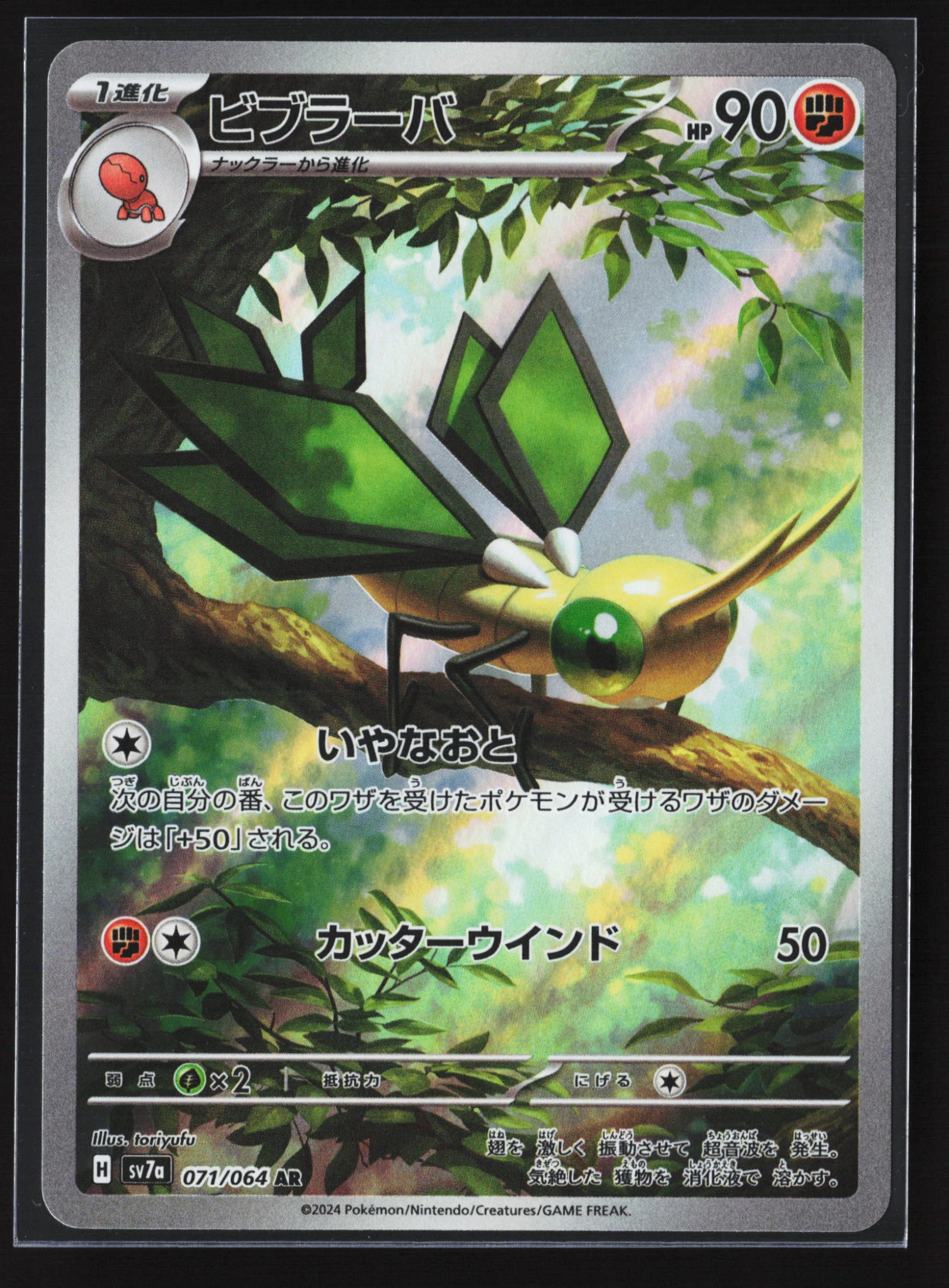 Vibrava (SV7A 071) — Voorkant