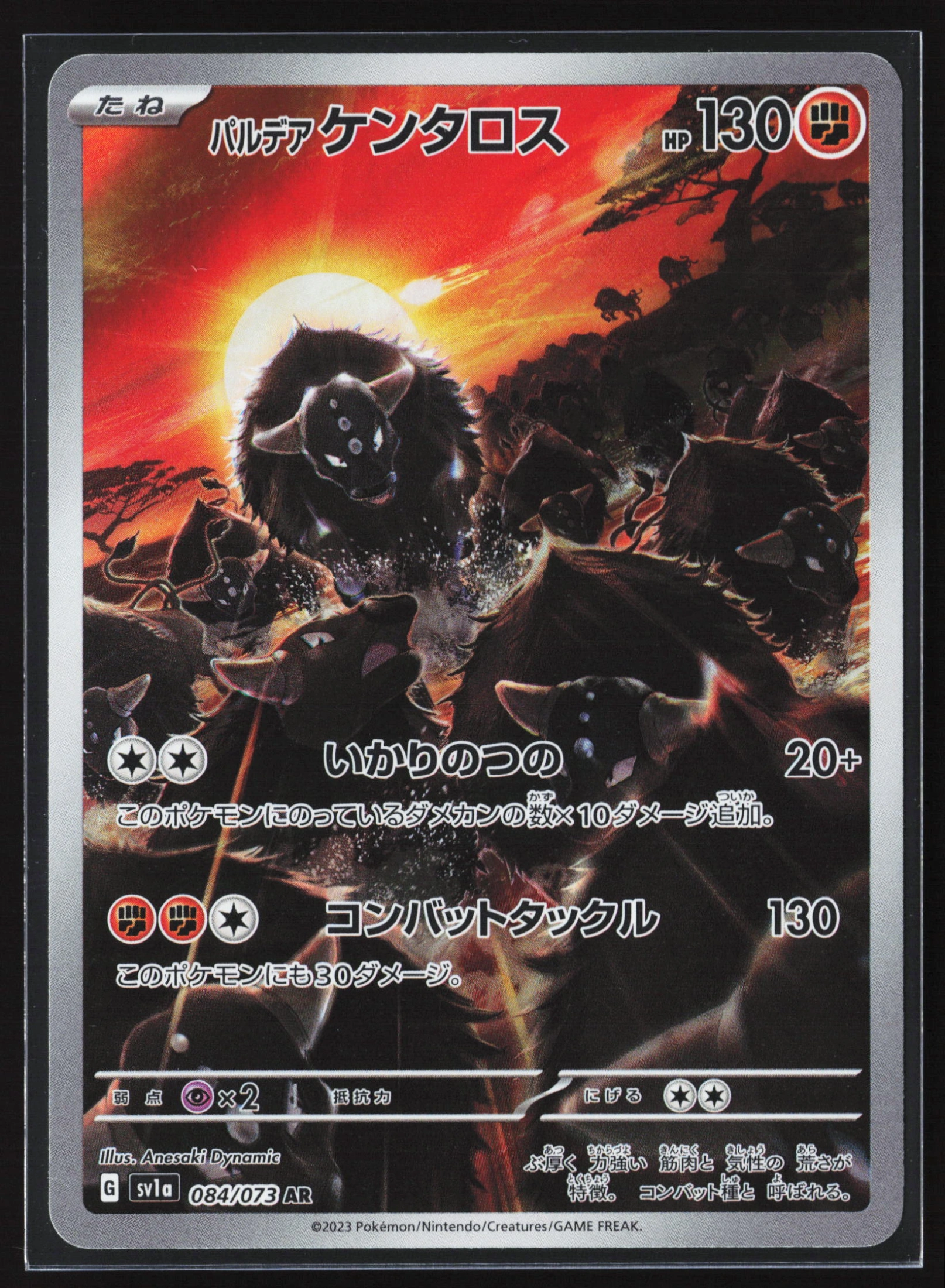 Paldean Tauros (SV1A 084) — Voorkant
