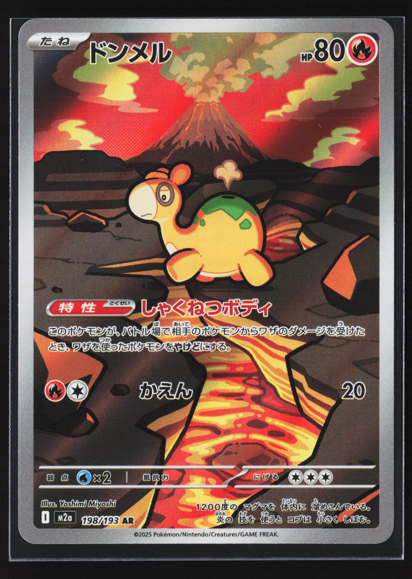Numel (M2A 198) — Voorkant