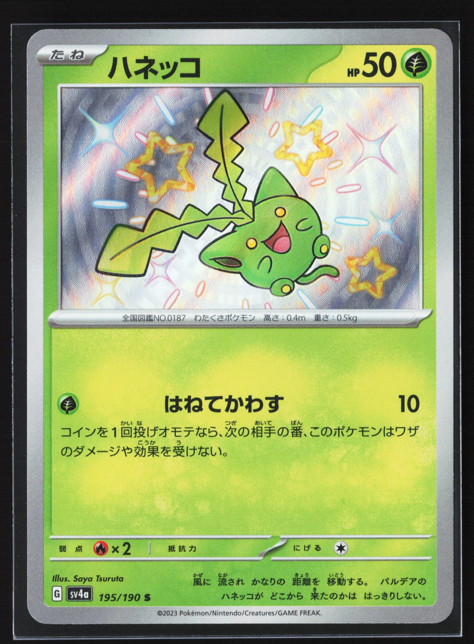 Hoppip (SV4A 195) — Voorkant