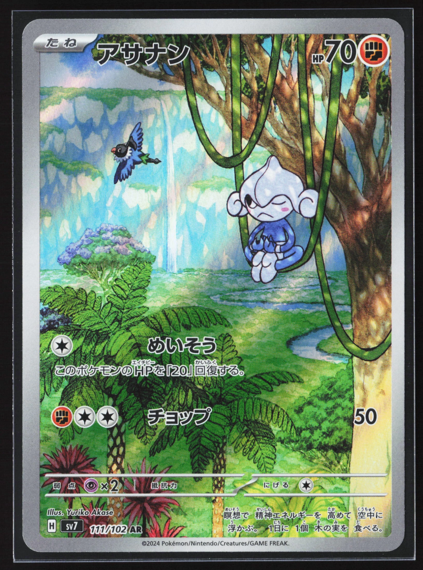Meditite (SV7 111) — Voorkant