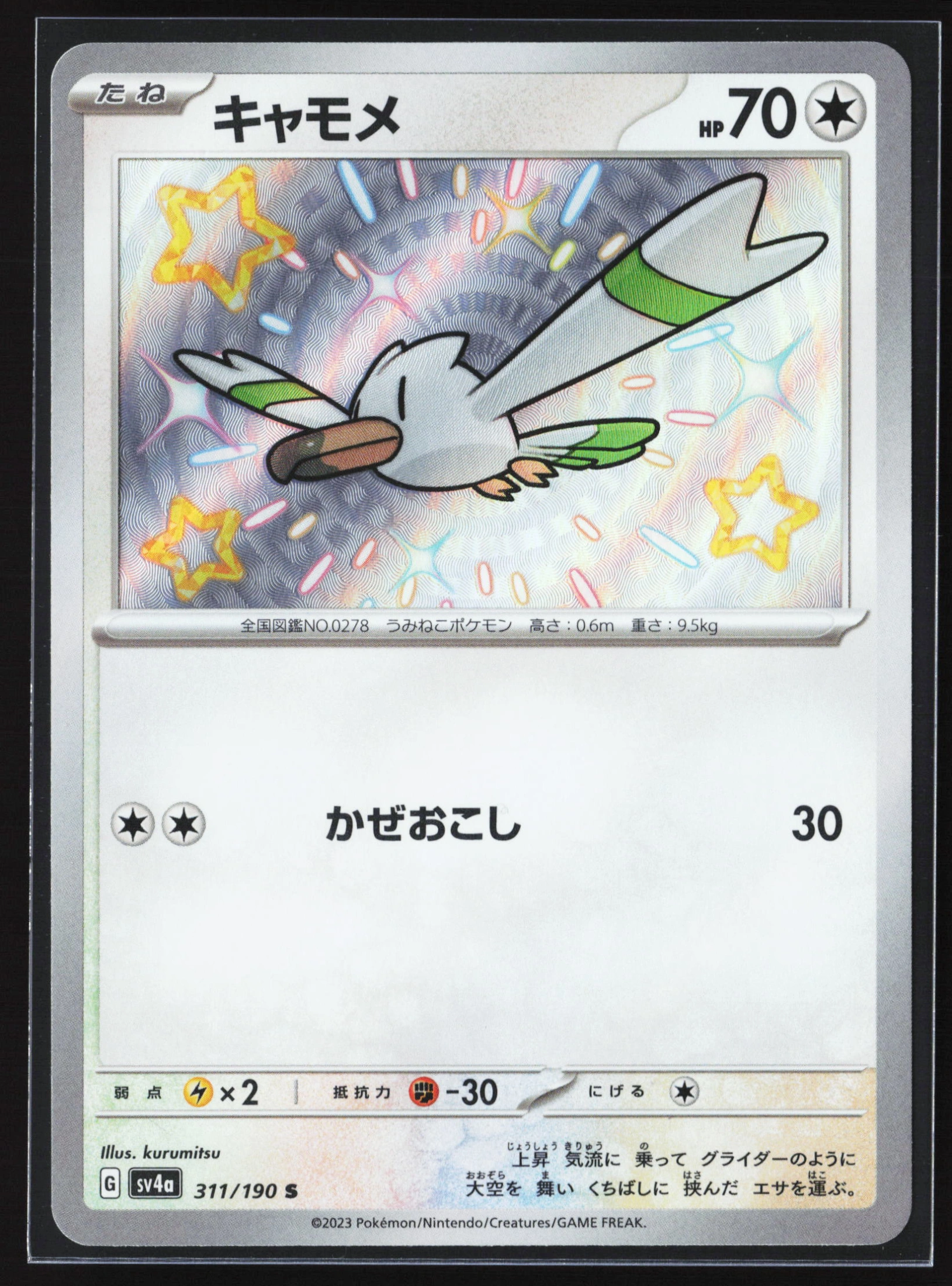 Wingull (SV4A 311) — Voorkant