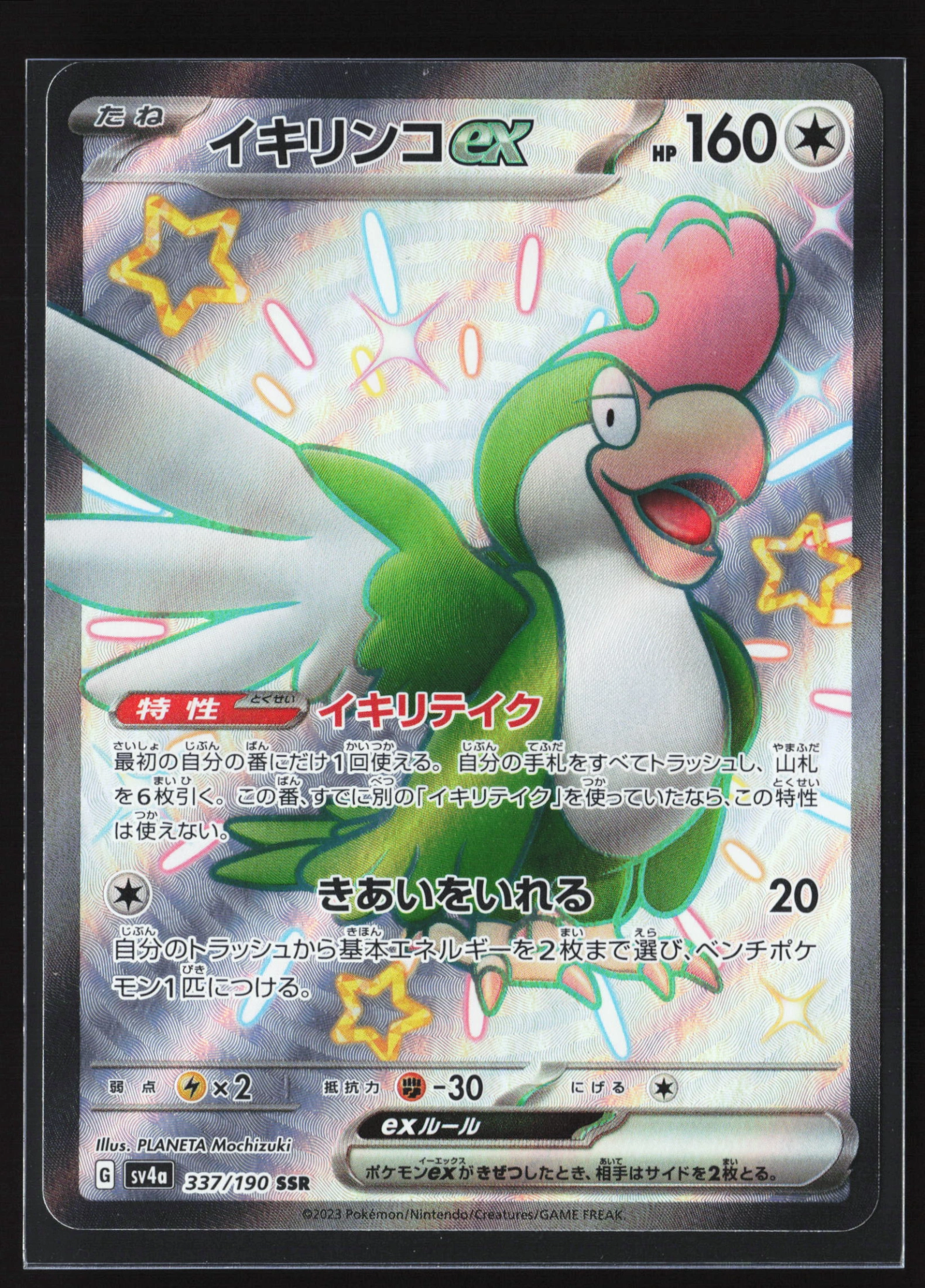 Squawkabilly ex (SV4A 337) — Voorkant