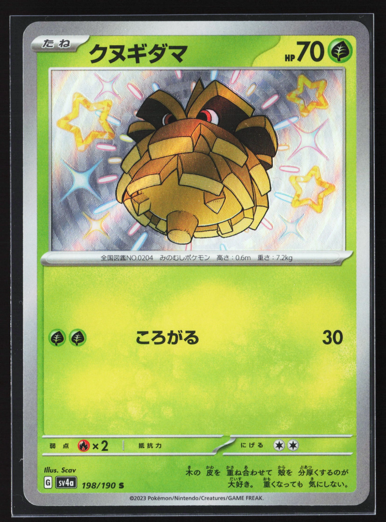 Pineco (SV4A 198) — Voorkant