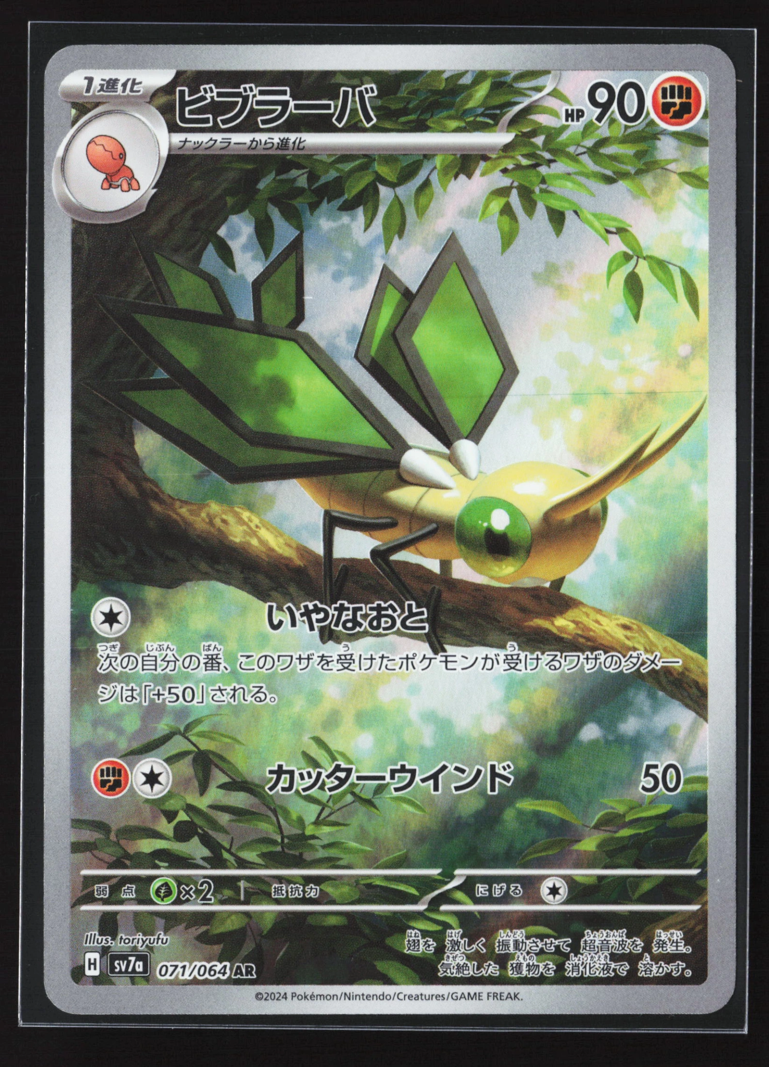 Vibrava (SV7A 071) — Voorkant