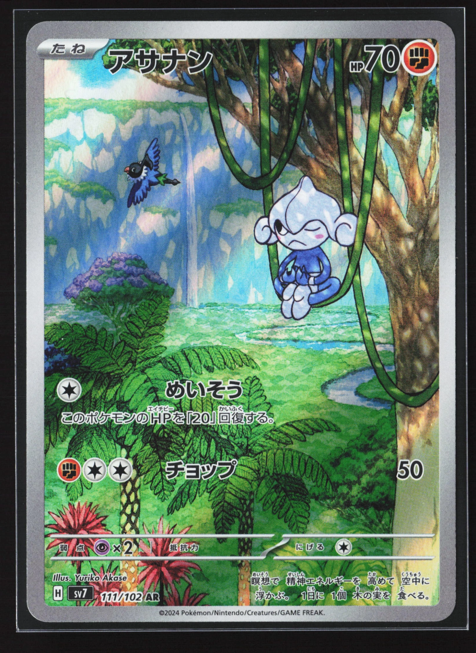 Meditite (SV7 111) — Voorkant