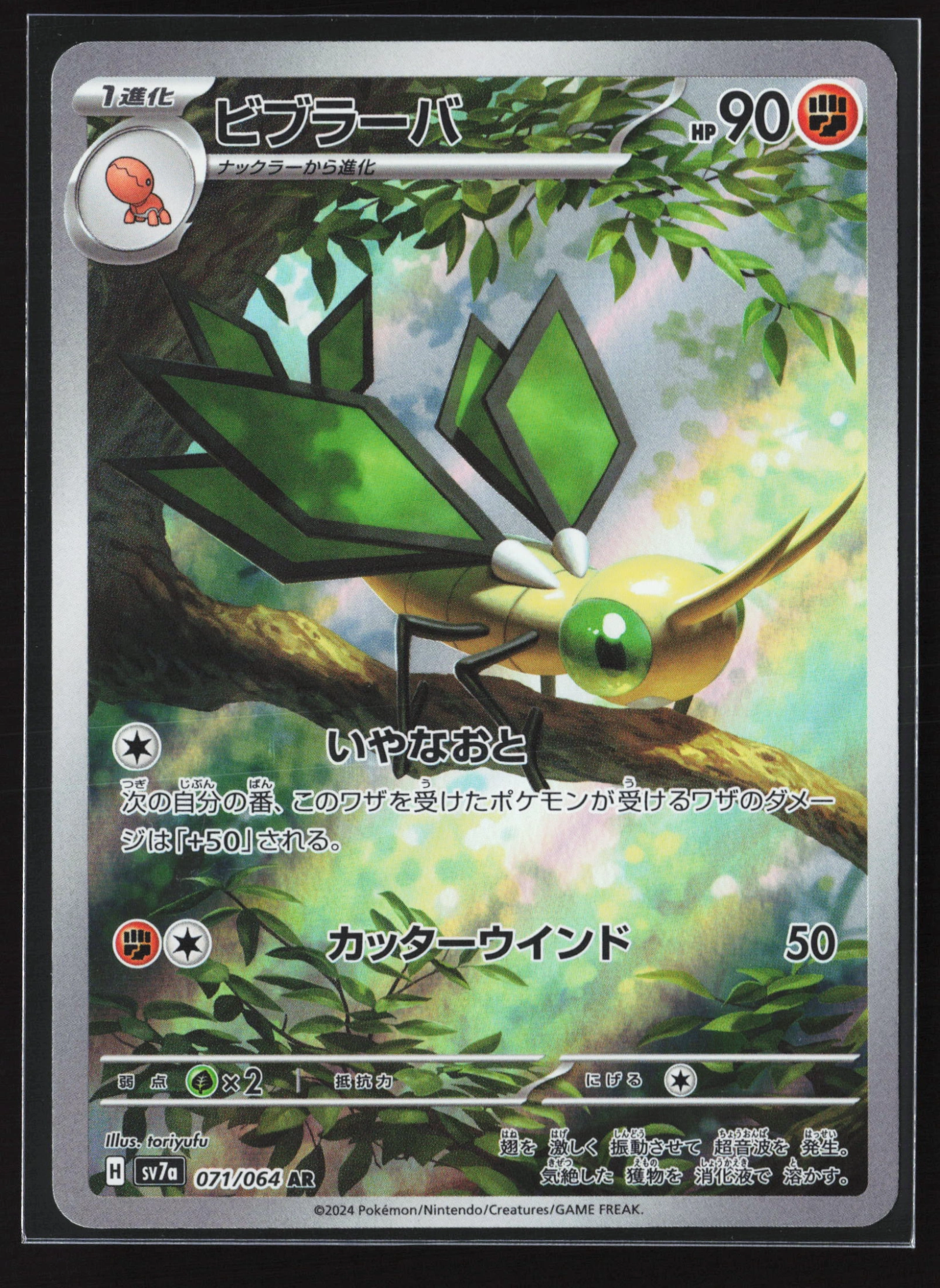 Vibrava (SV7A 071) — Voorkant