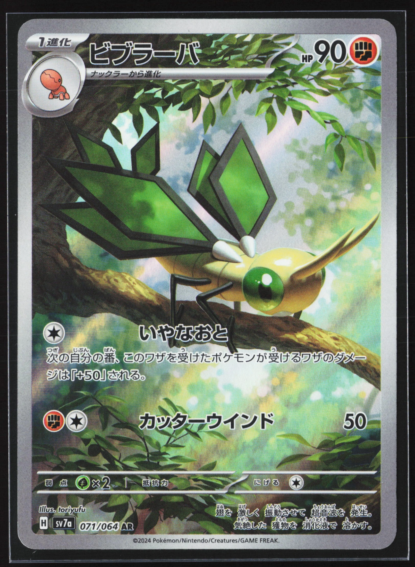Vibrava (SV7A 071) — Voorkant