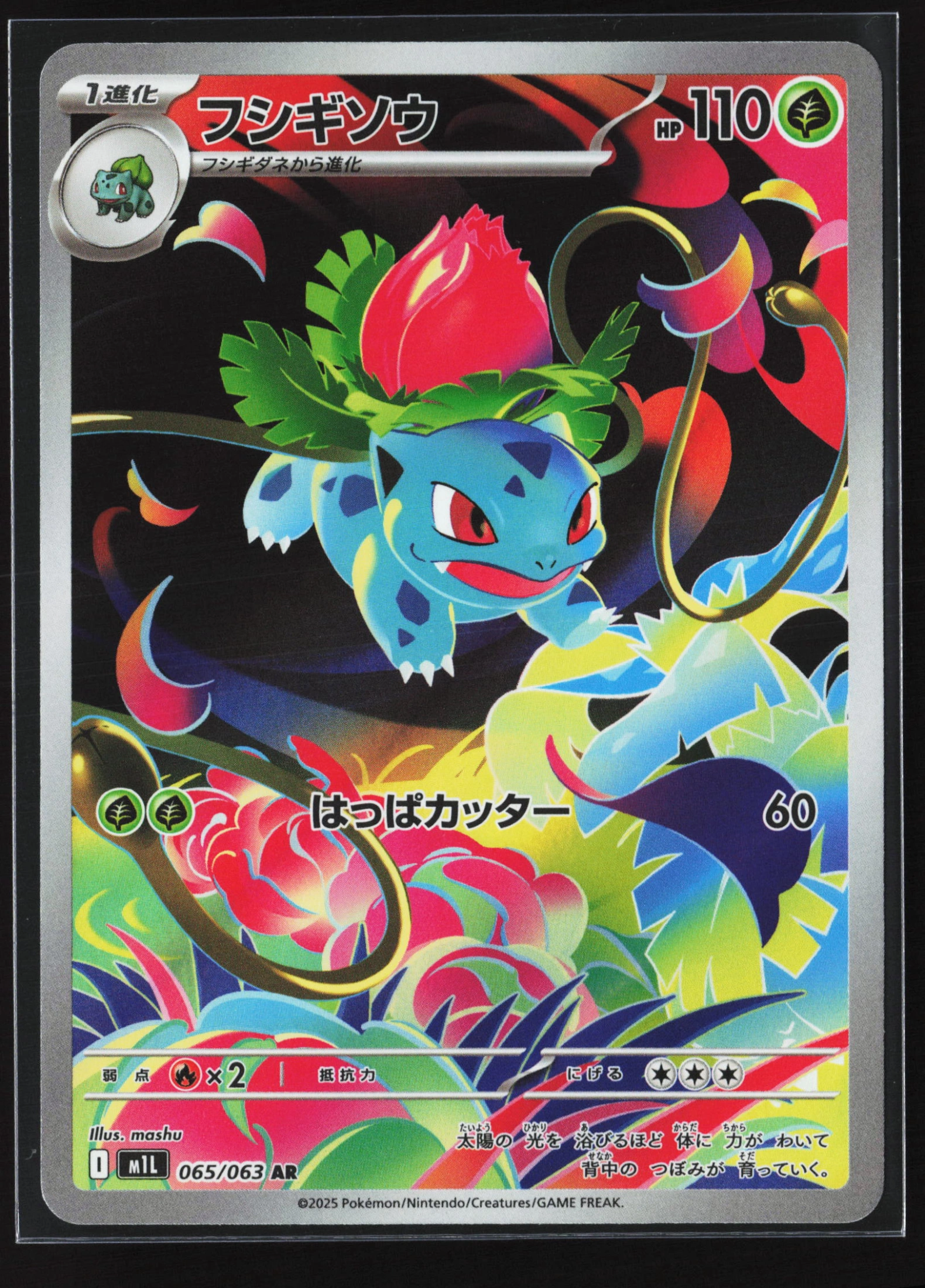 Ivysaur (M1L 065) — Voorkant
