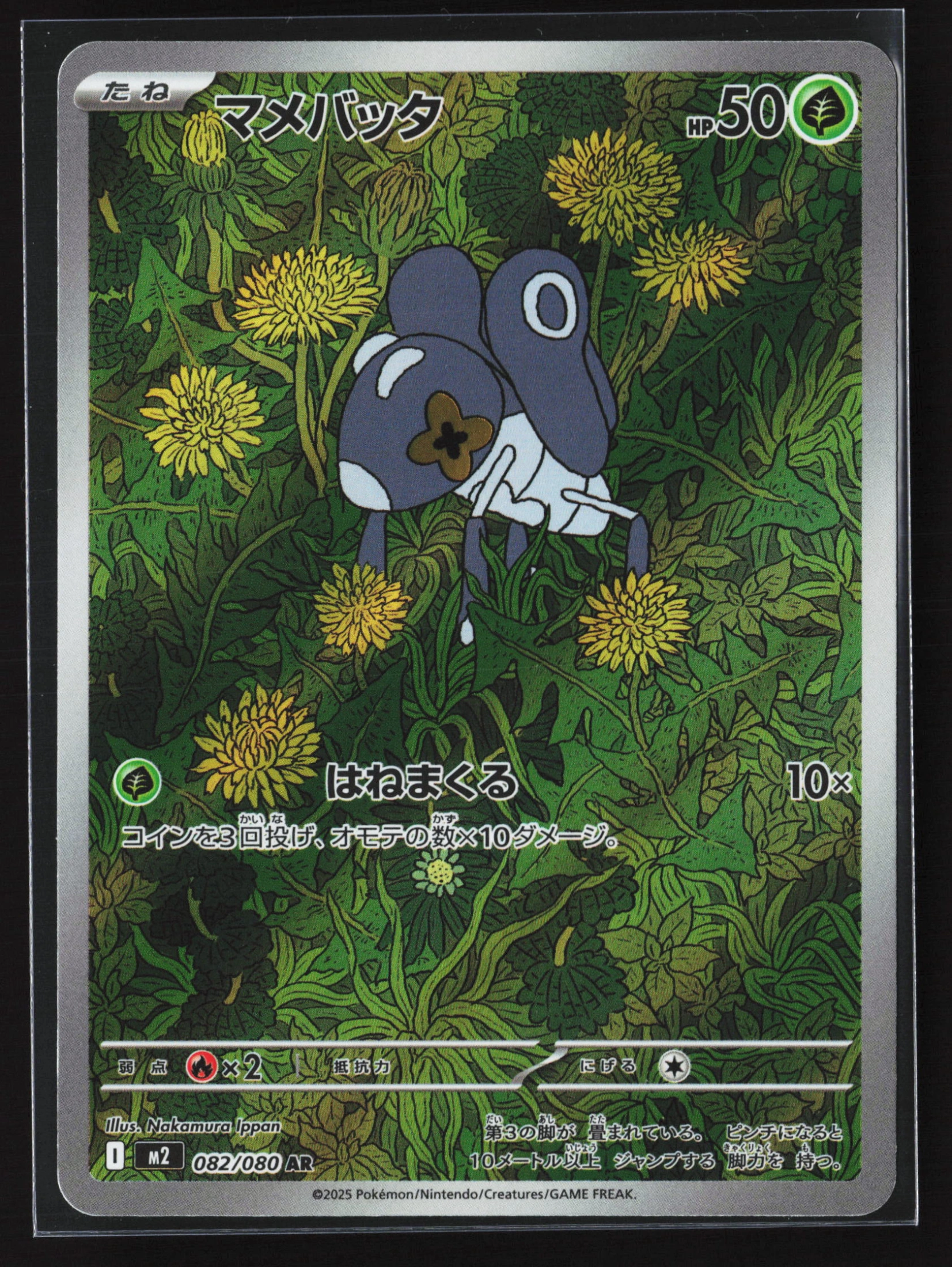 Nymble (M2 082) — Voorkant