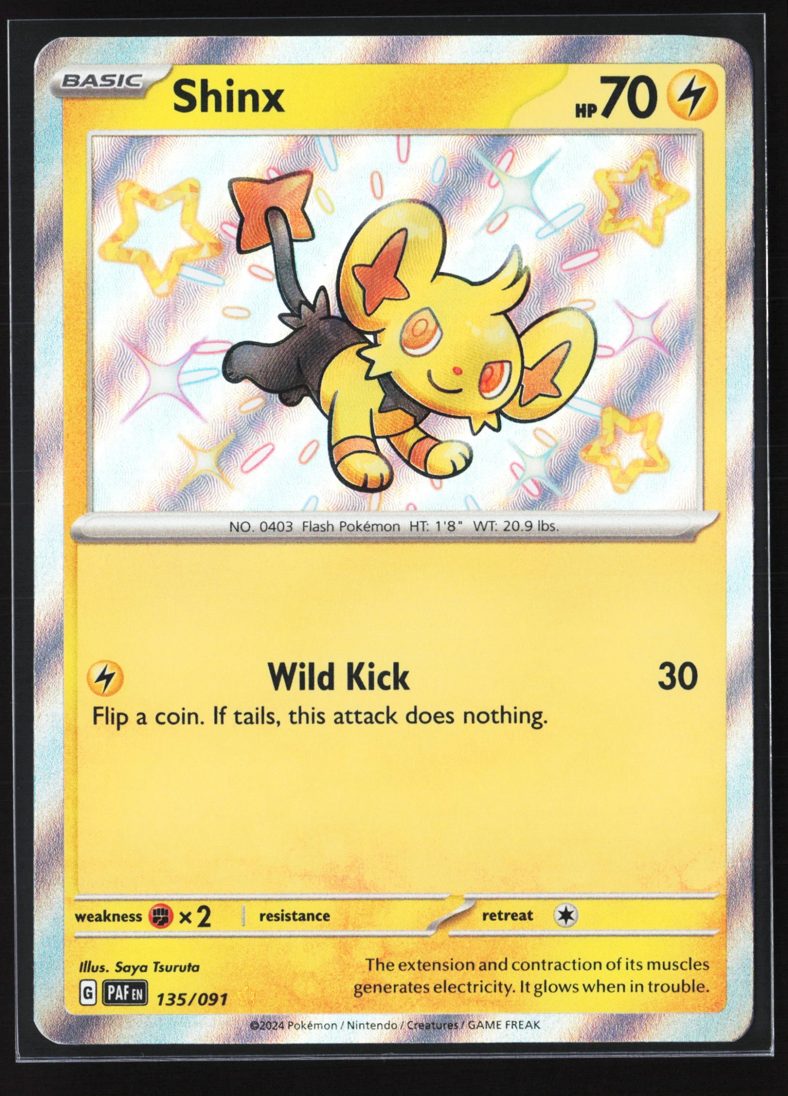 Shinx (PAF 135) — Voorkant