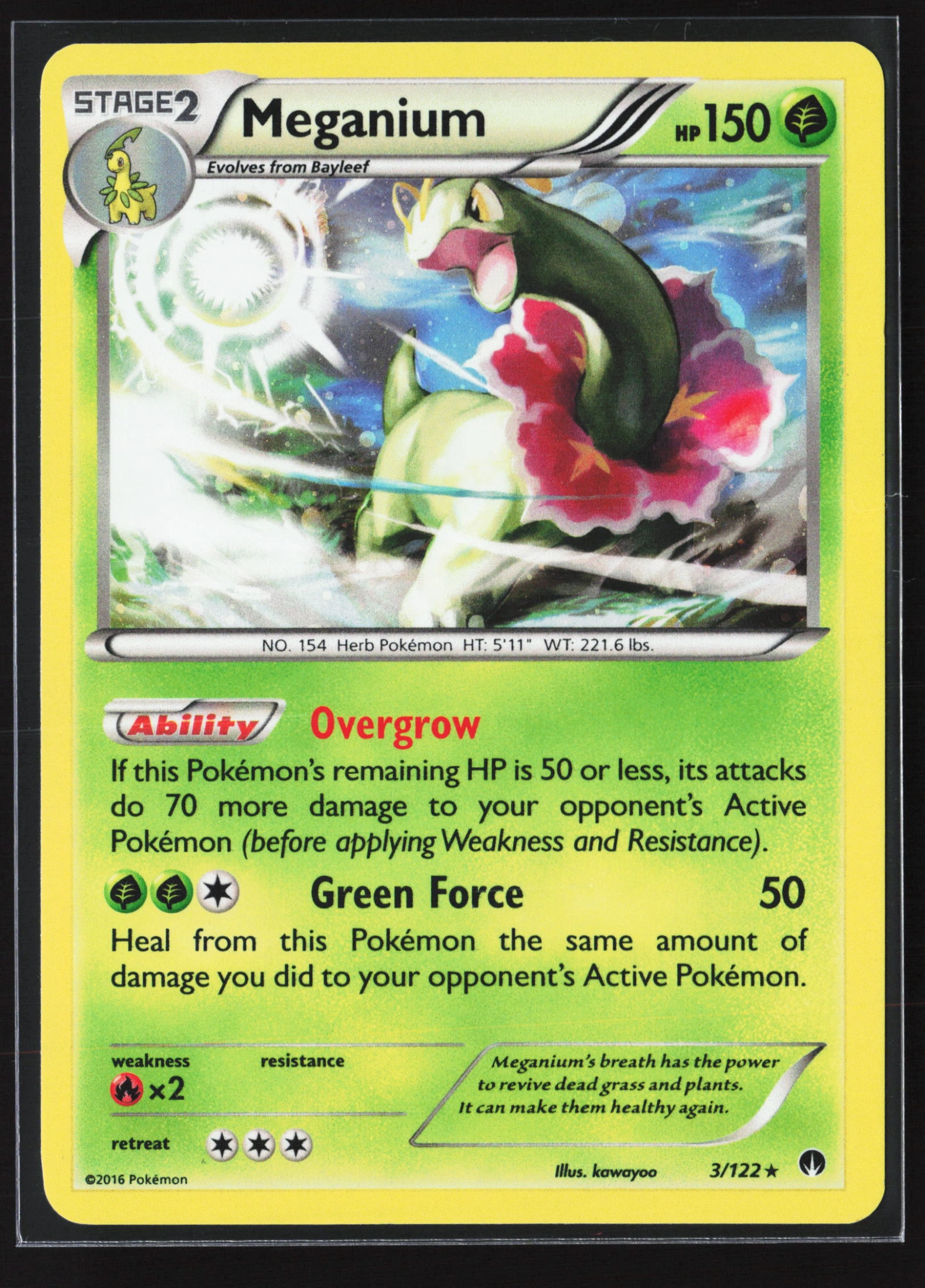 Meganium (BKP 003) — Voorkant