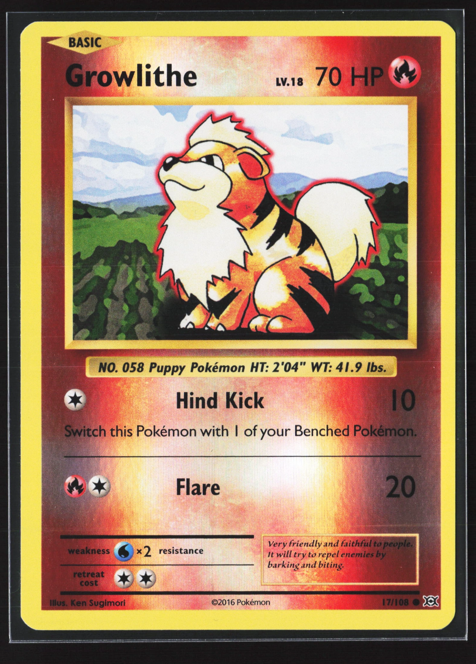 Growlithe (EVO 017) — Voorkant