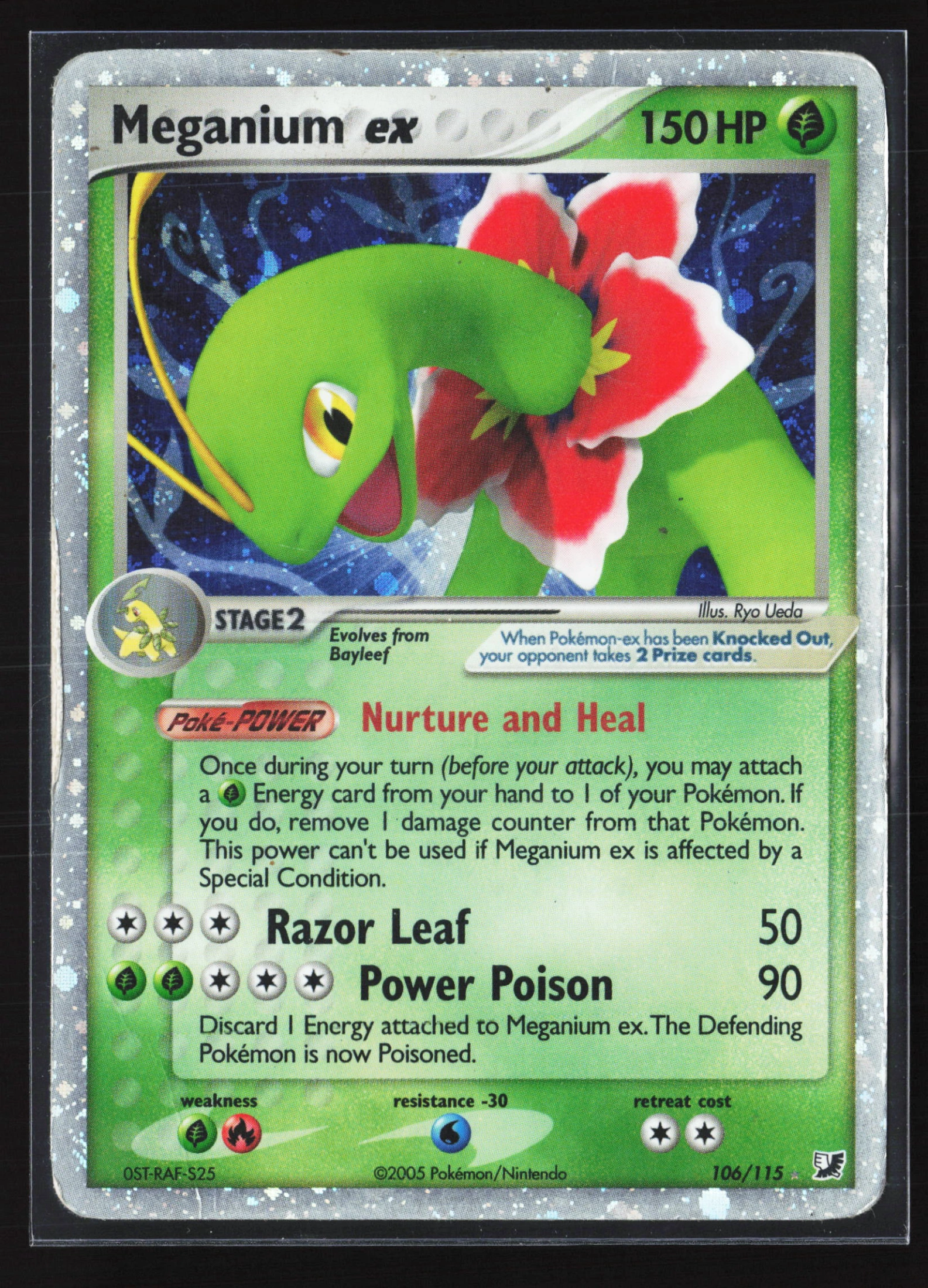 Meganium ex (UF 106) — Voorkant