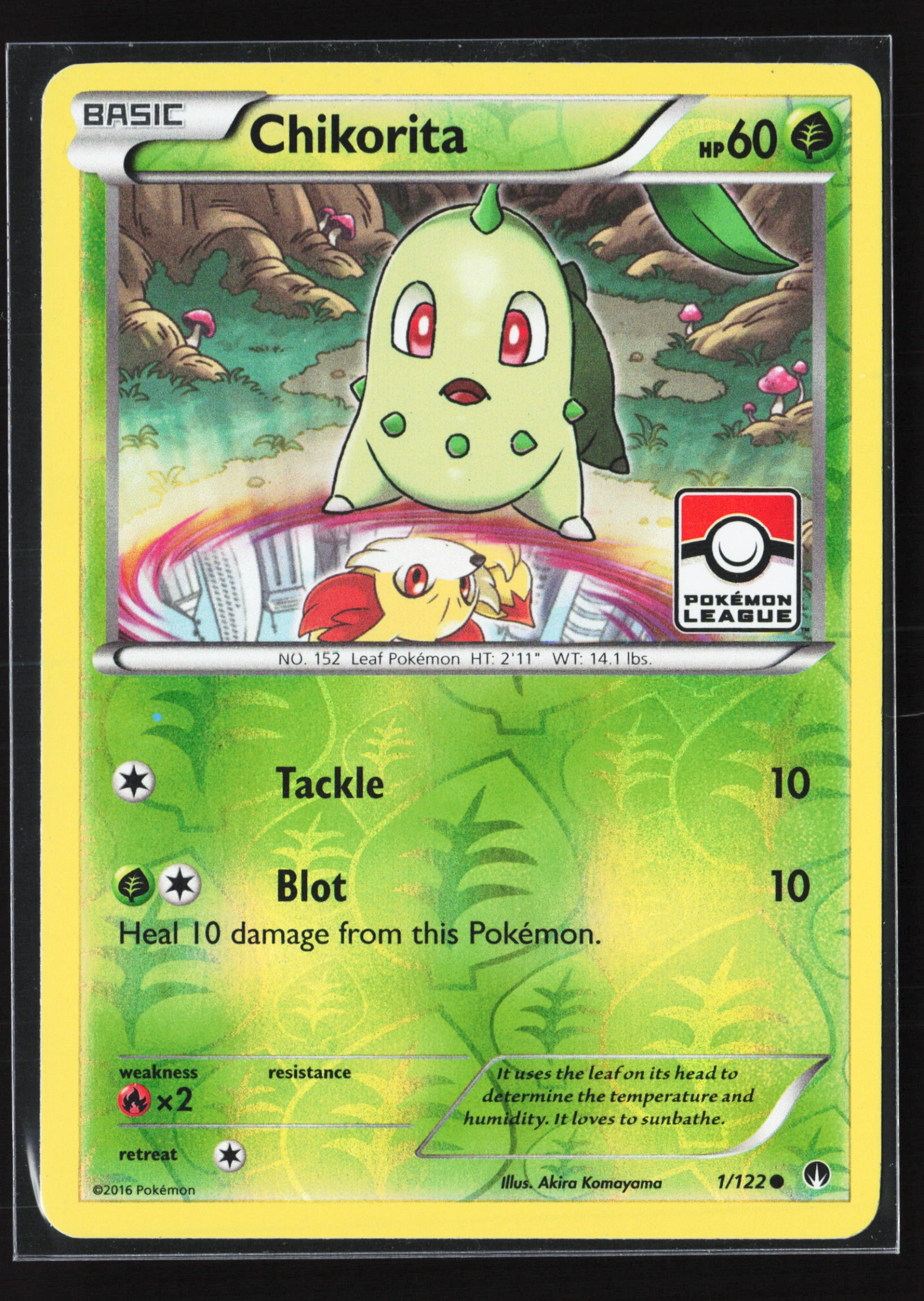 Chikorita (BKP 001) — Voorkant