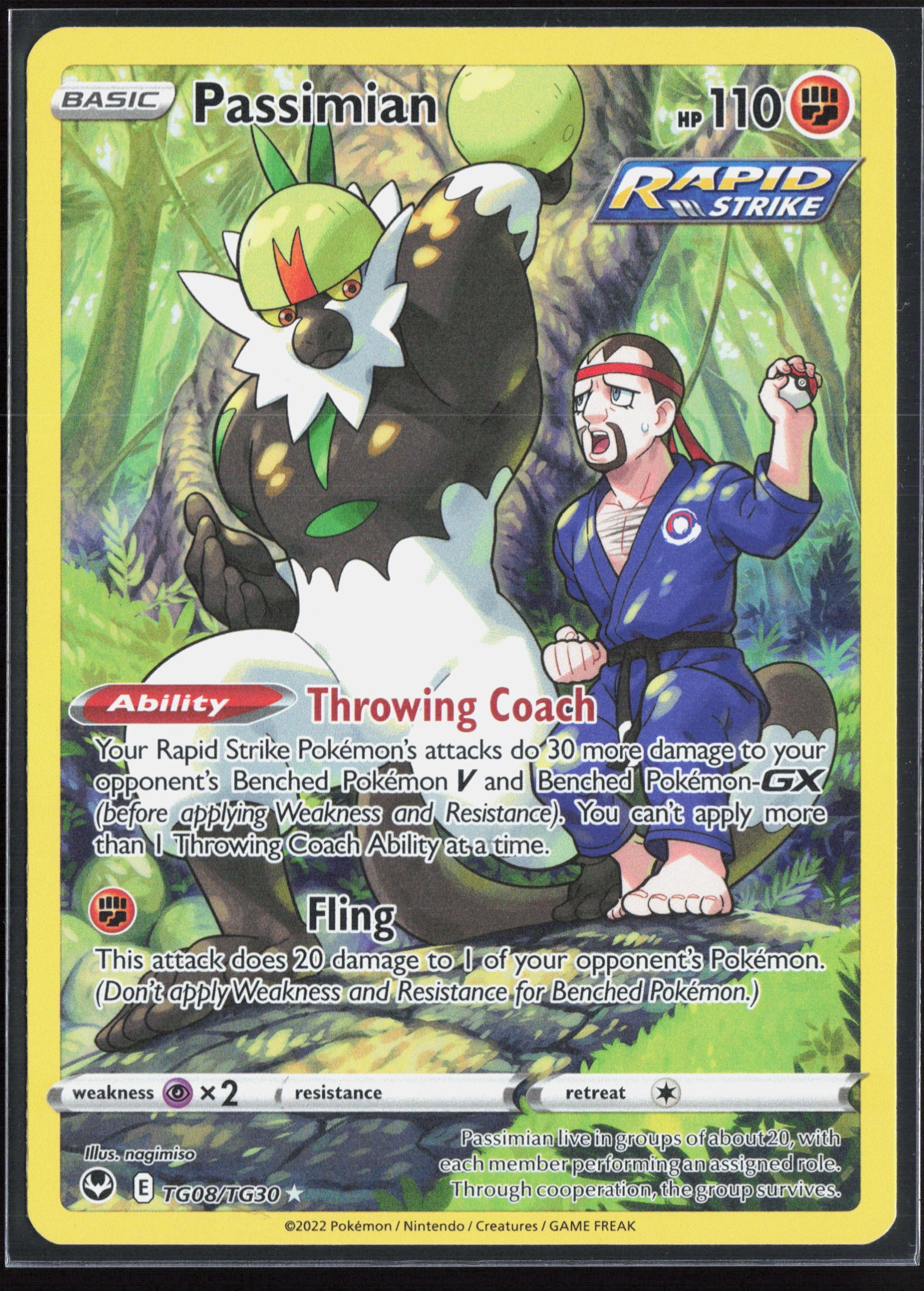 Passimian (SIT TG08) — Voorkant