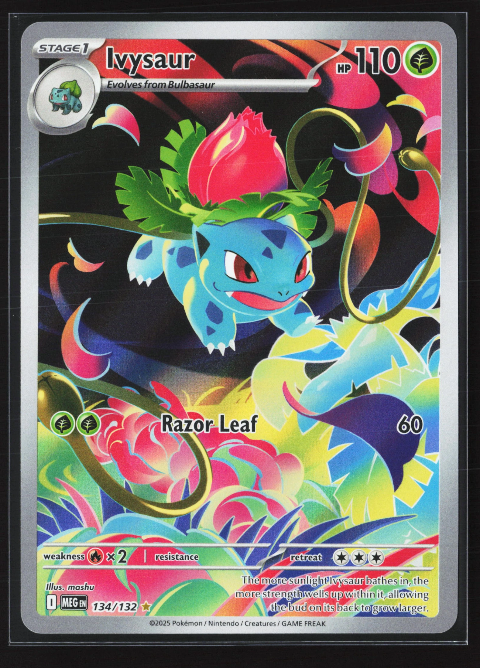Ivysaur (MEG 134) — Voorkant
