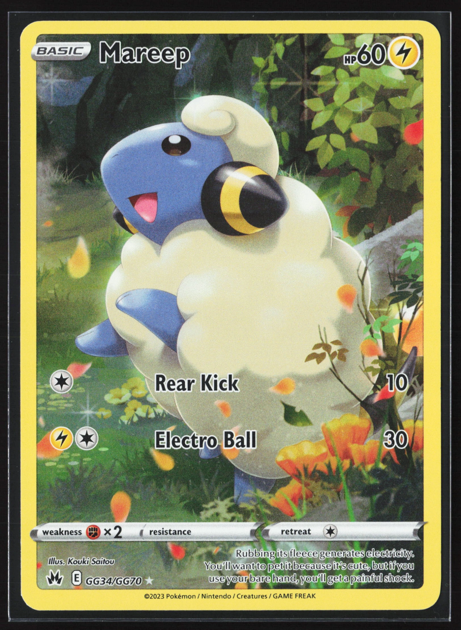 Mareep (CRZ GG34) — Voorkant